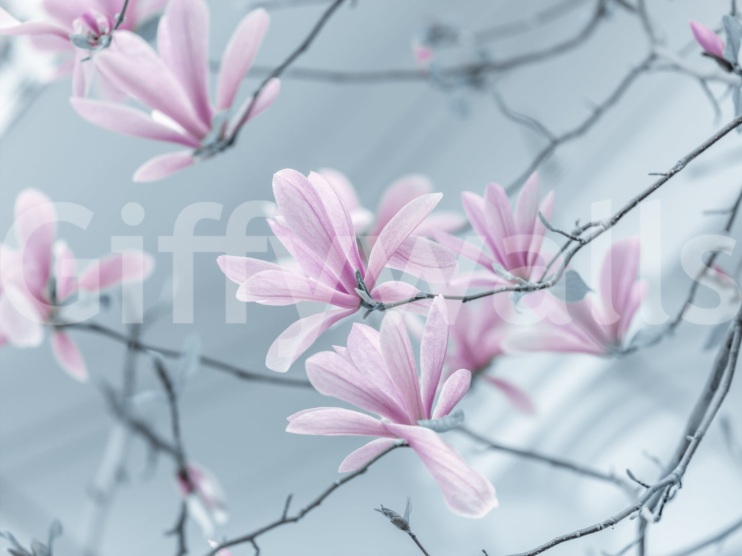 The image captures the delicate nature of flowers.