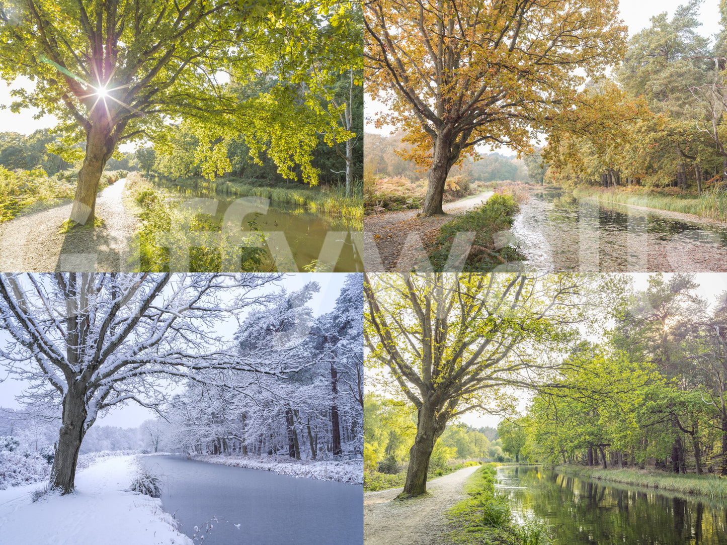 The design is non-realistic and interpretive.