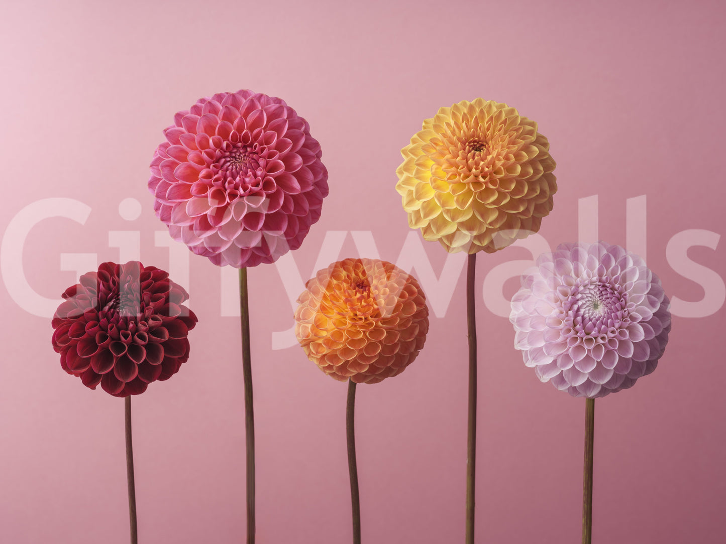 The design is non-realistic and interpretive.