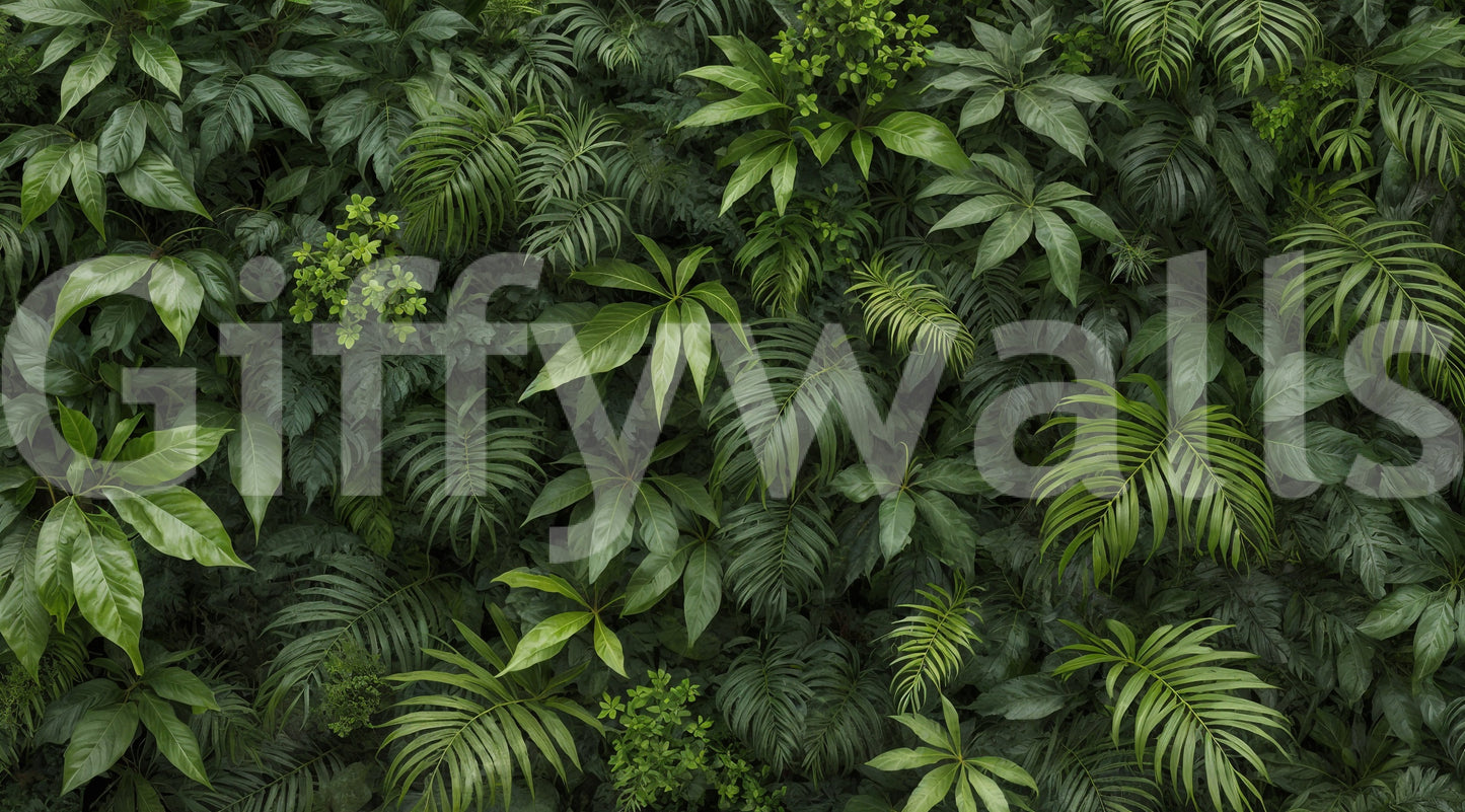 The image has a soothing and very natural mood.