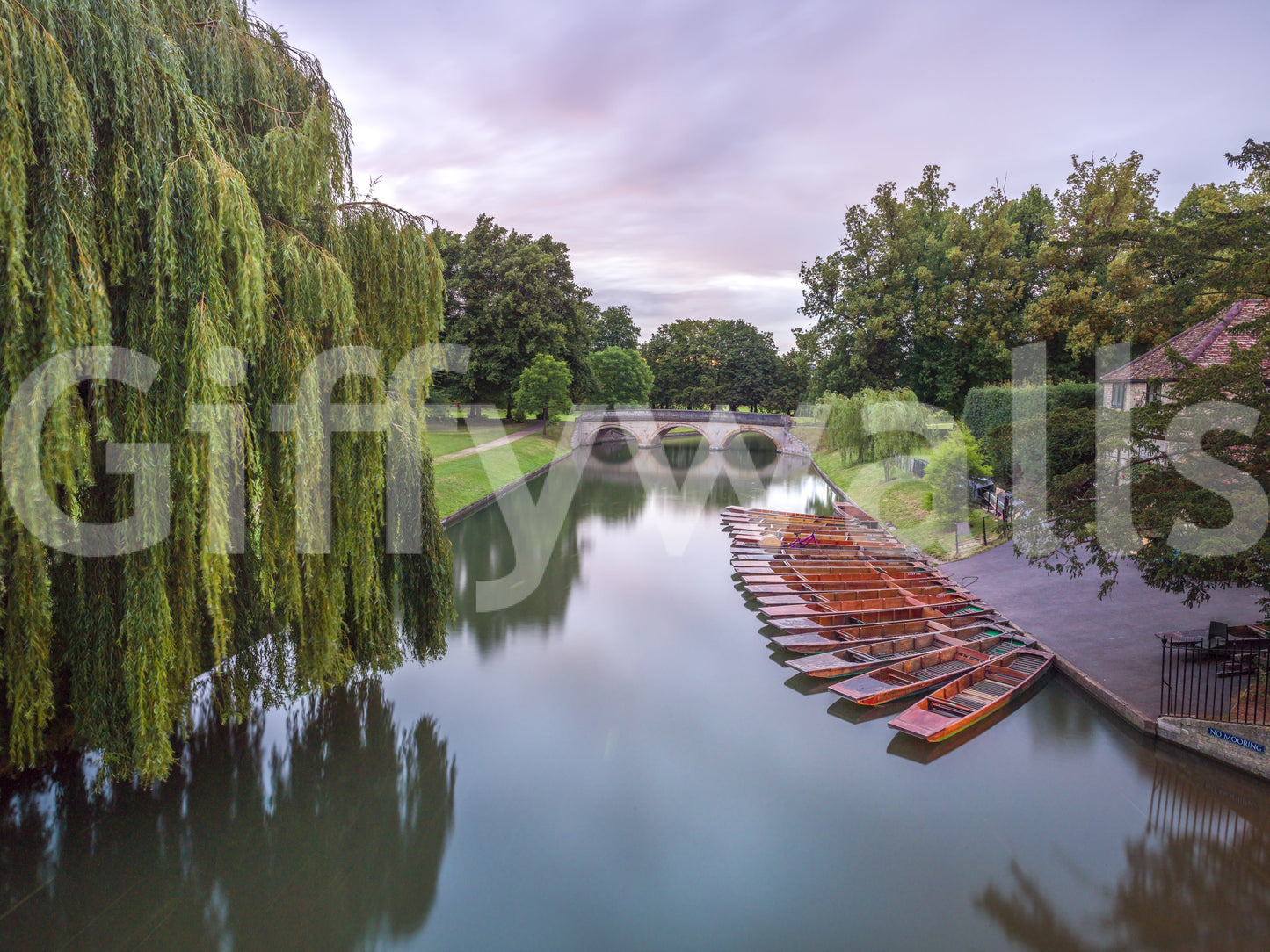 The wallpaper has a smooth, non-reflective matte finish.