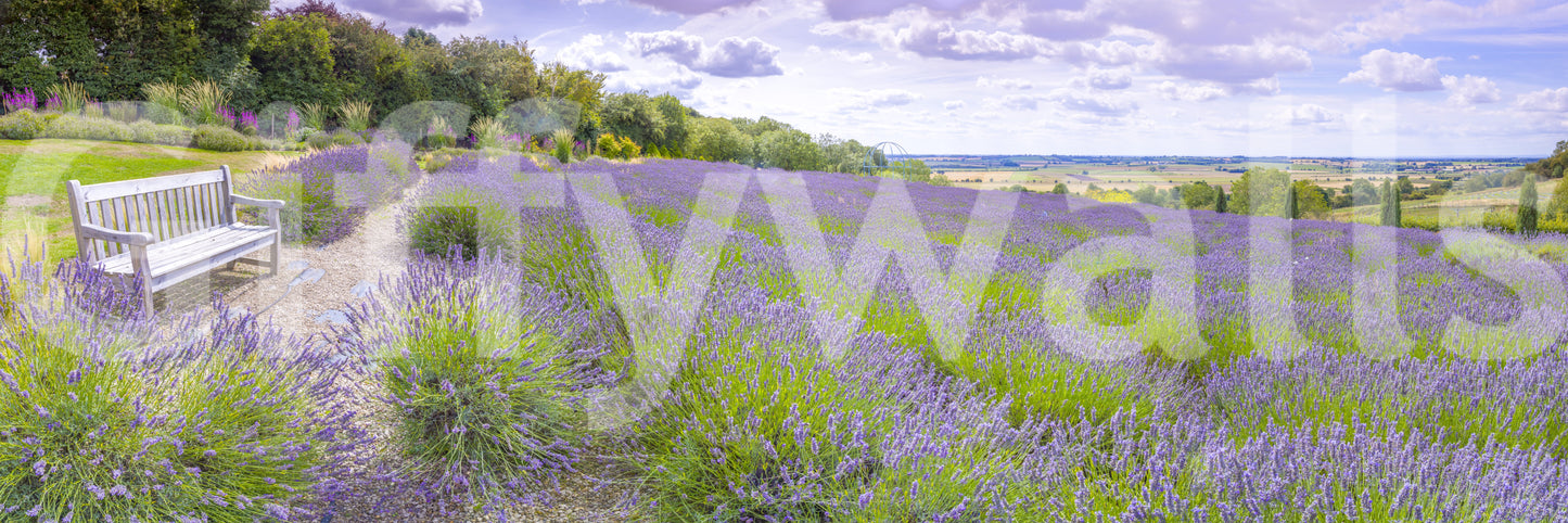 The wallpaper features a large floral pattern.