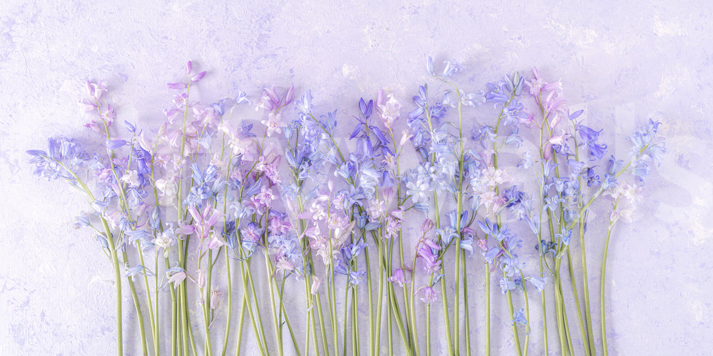 The wallpaper features a subtle, calming pattern.