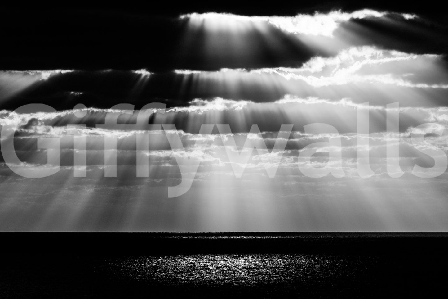 A high-quality spot pattern wall mural for walls.