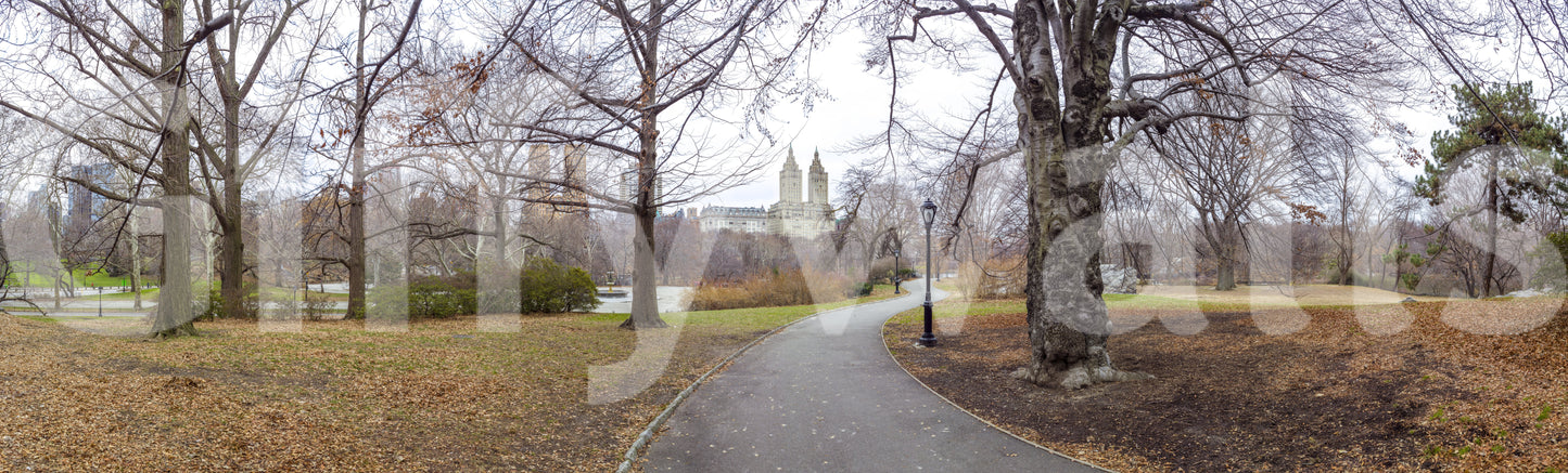 City's Nature Vista Wall Mural