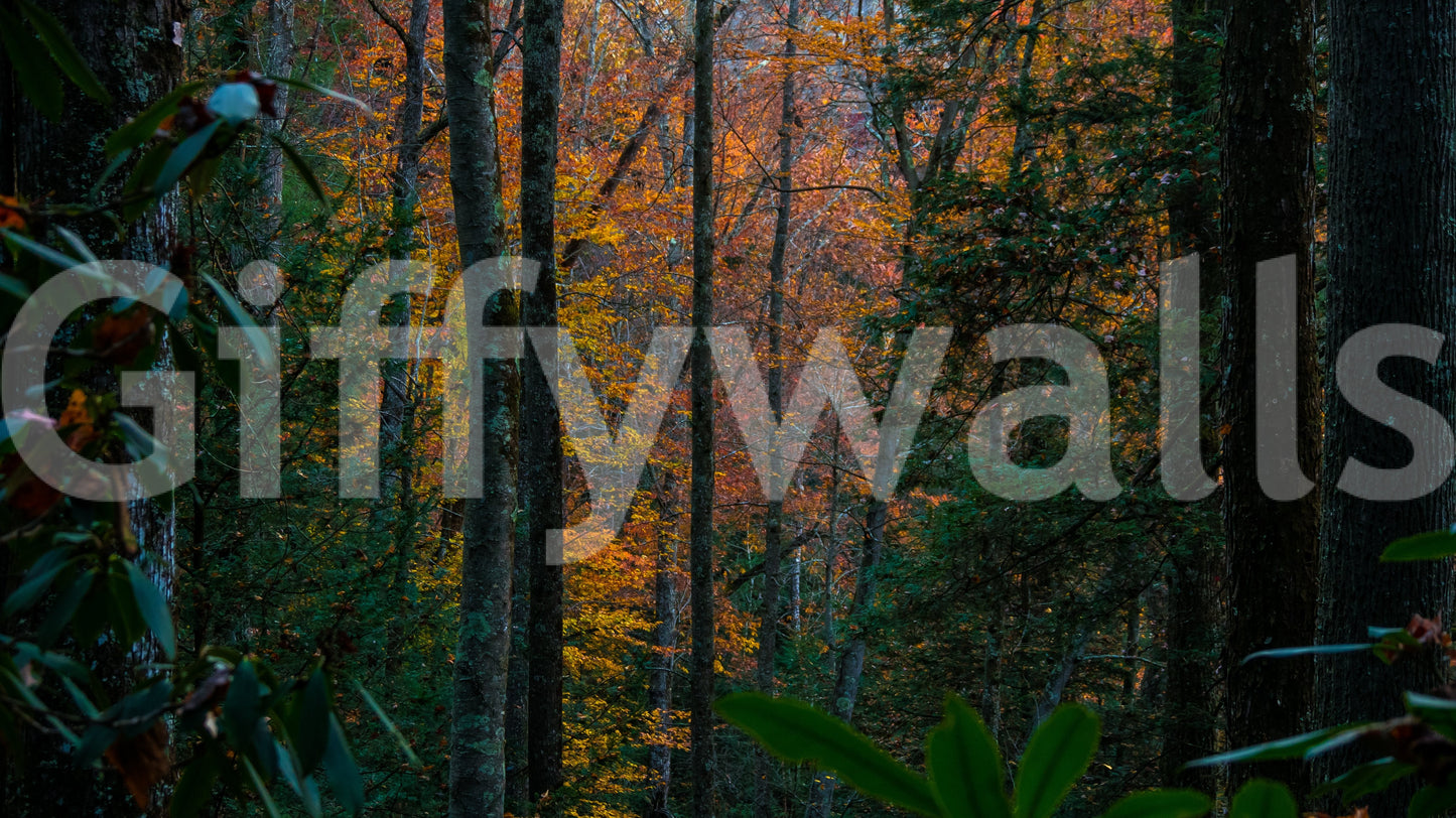 A high-quality minimalist tree wall mural for walls.