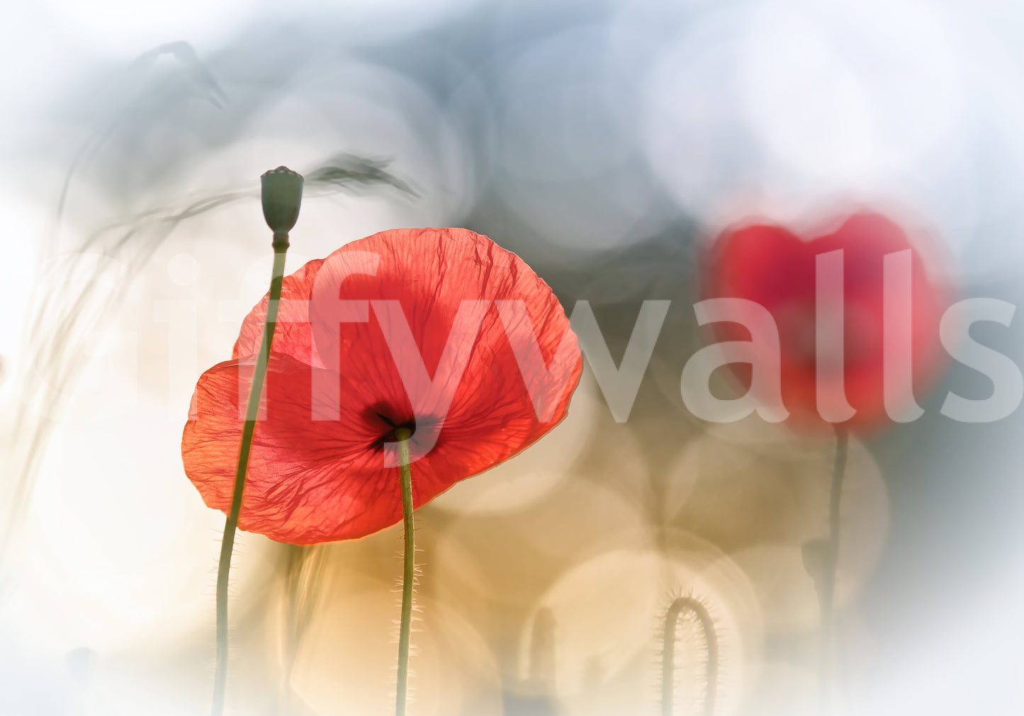 A high-quality serene flower wall mural for walls.