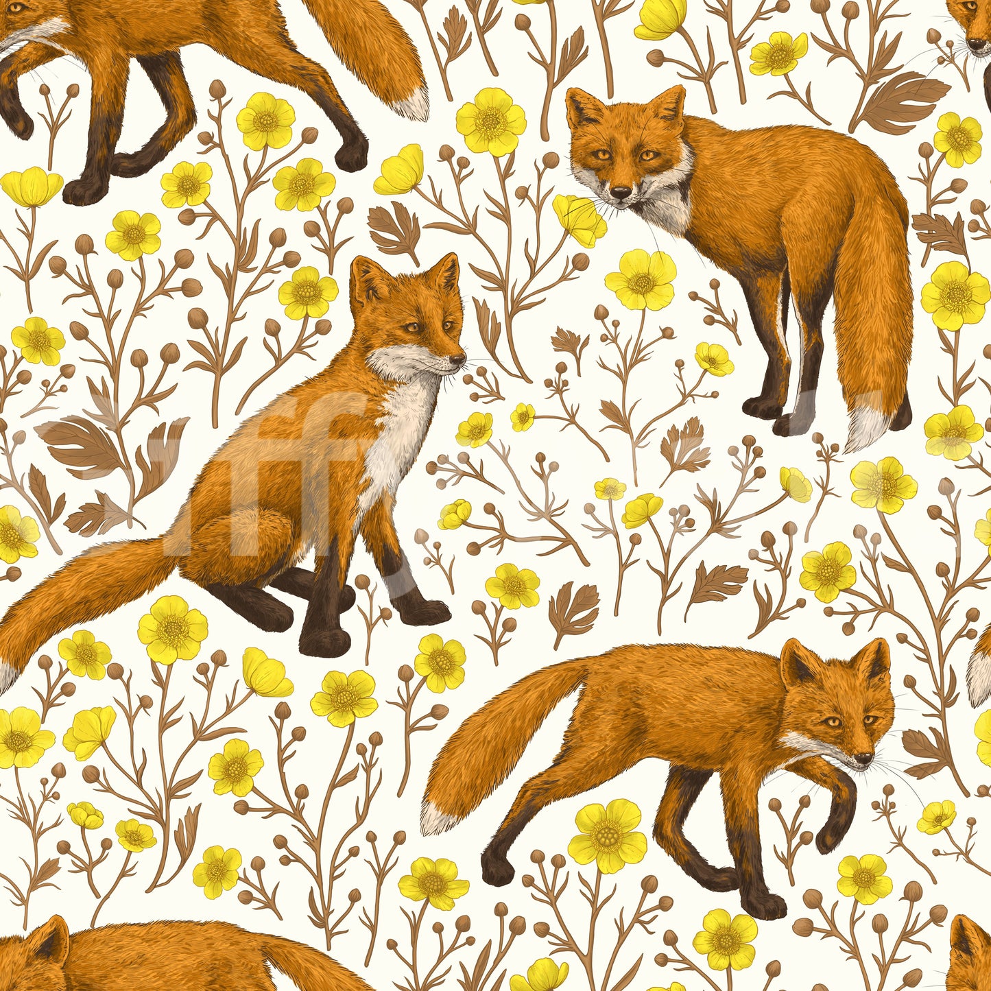 Foxes and buttercups on natural white Wallpaper
