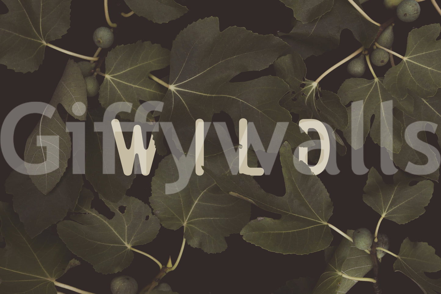 Fig Leaves: Stay Wild Wall Mural -2489734