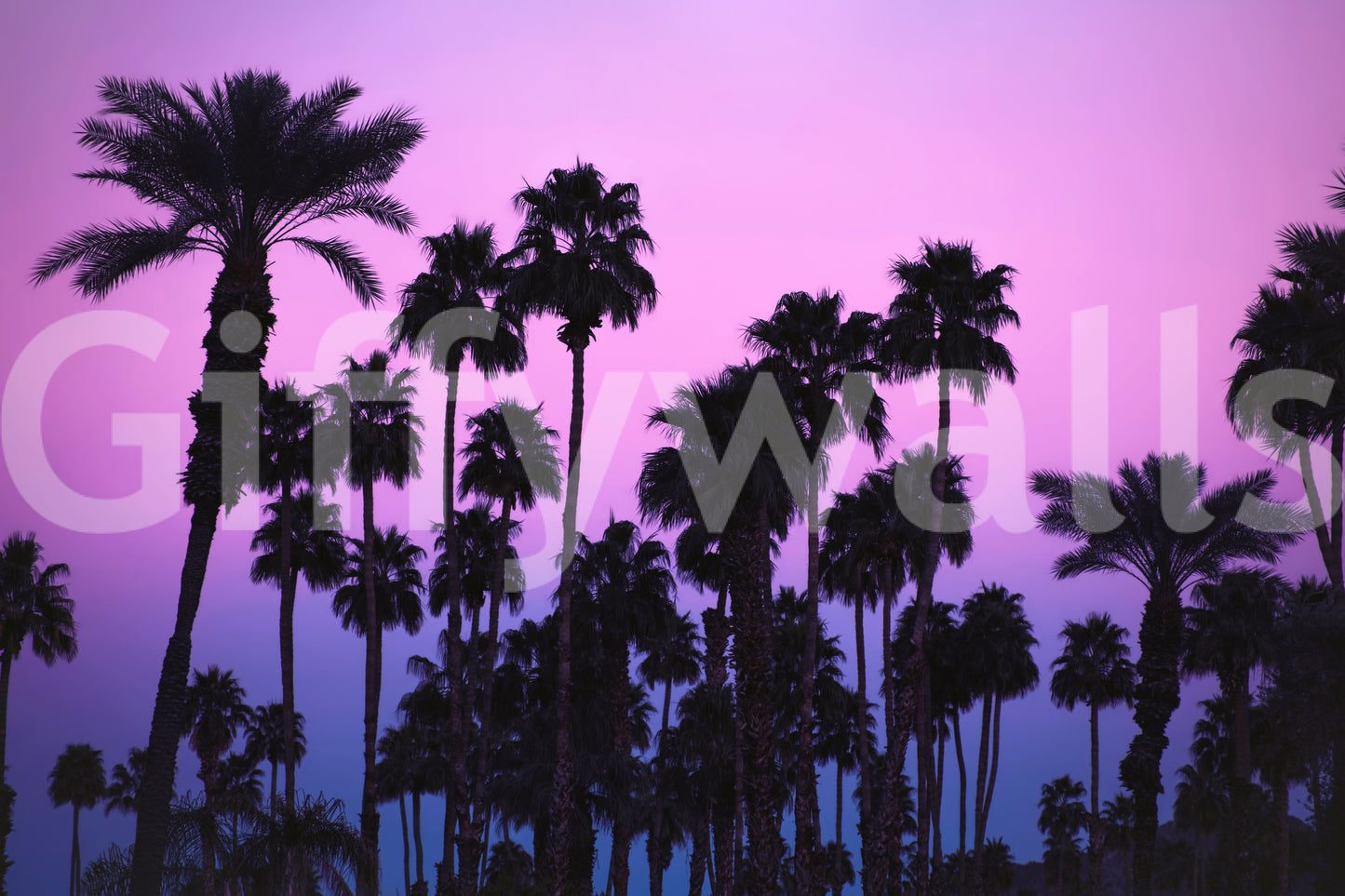 Tropical Dusk Palms Wall Mural -2226294