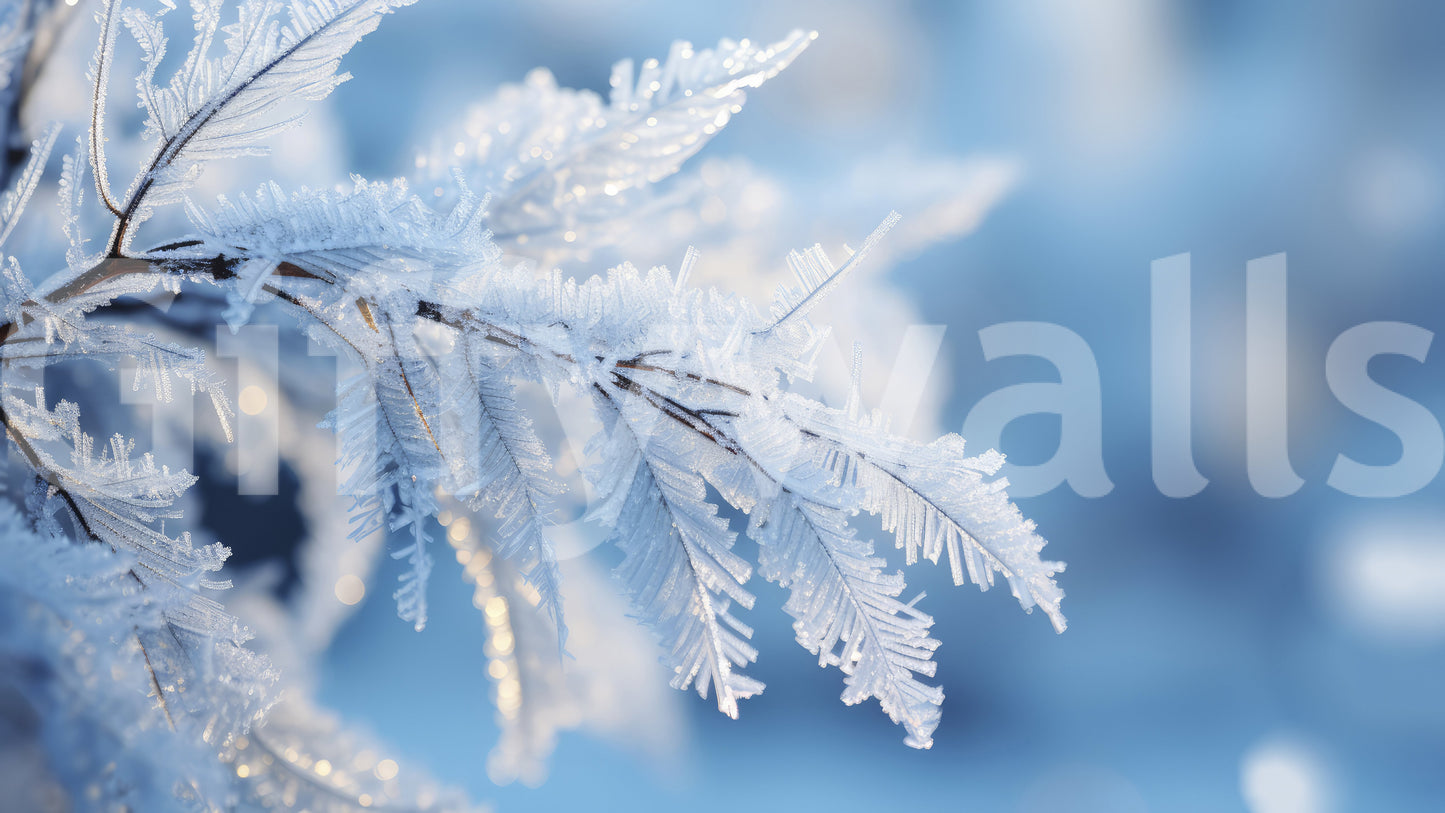Icy Fronds Wall Mural -2559594