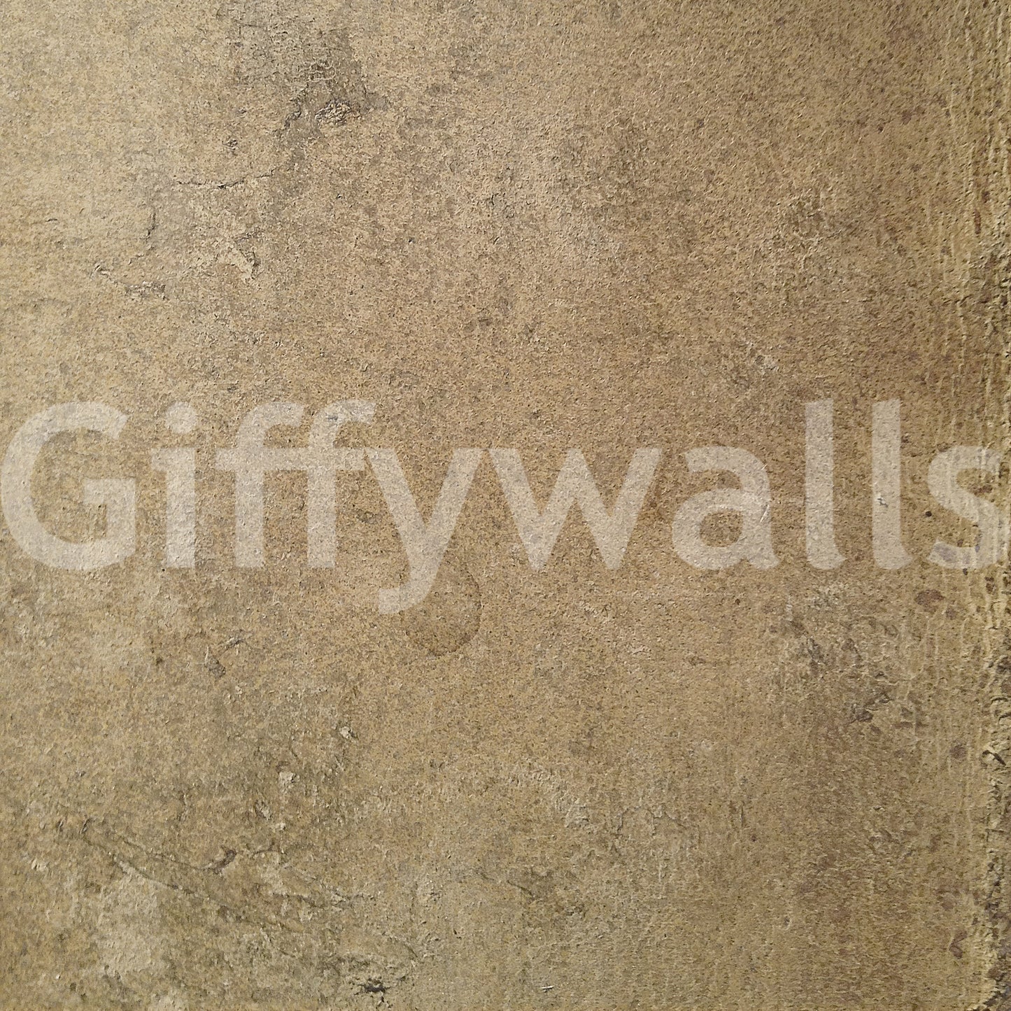 Aged Leather - Chamois Wall Mural