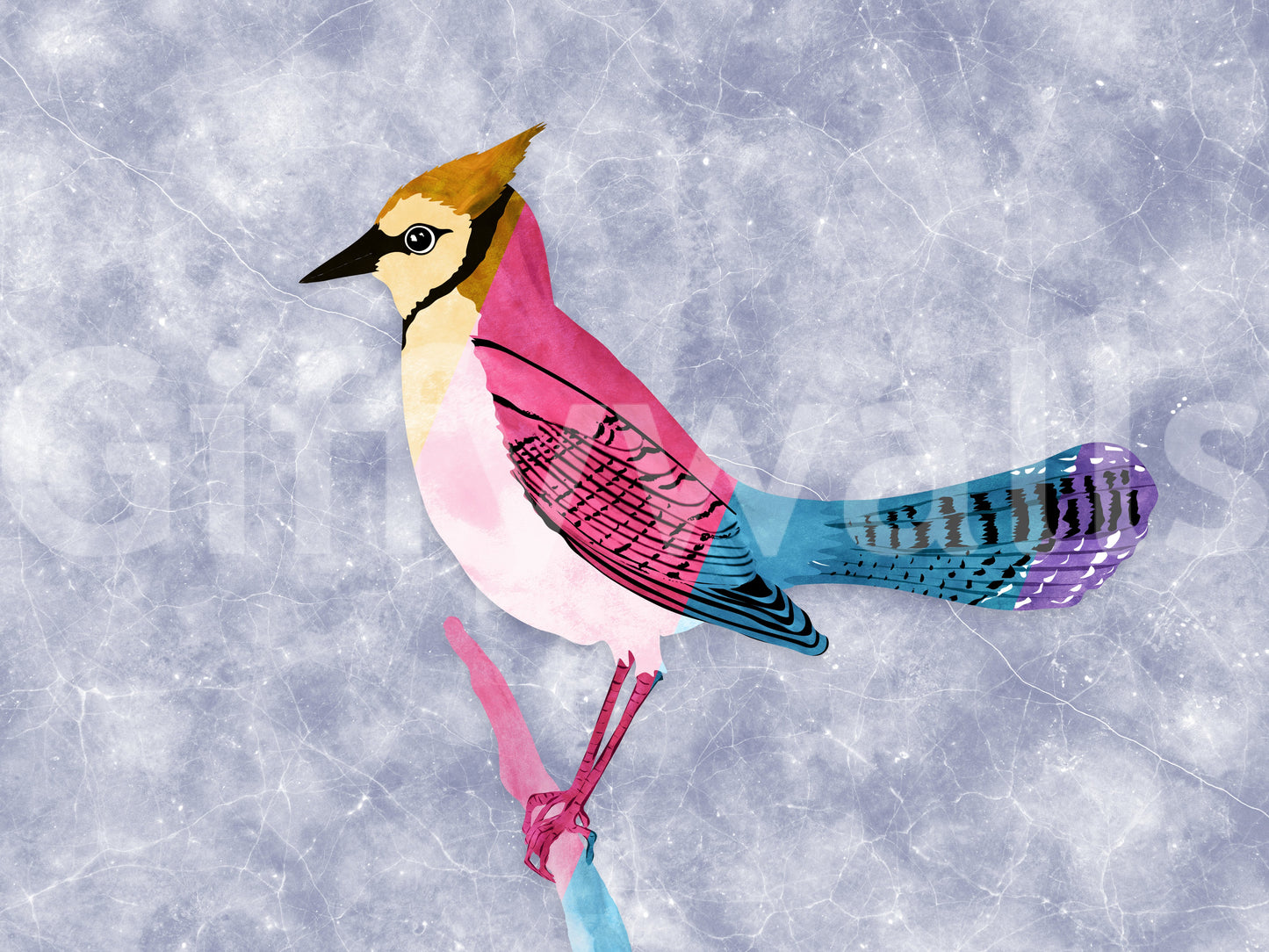 Colorful Jay Wall Mural