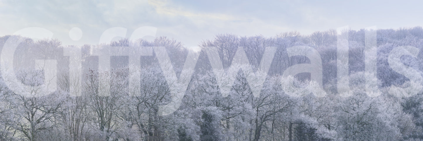 Winter's Whispers Wall Mural