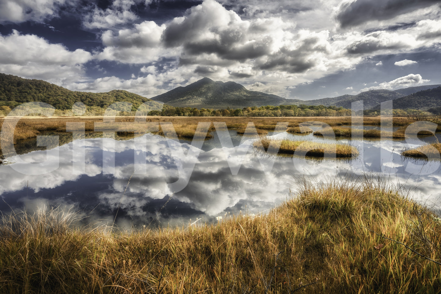 Rustic meadow reflected wall mural, bright sky, serene design.