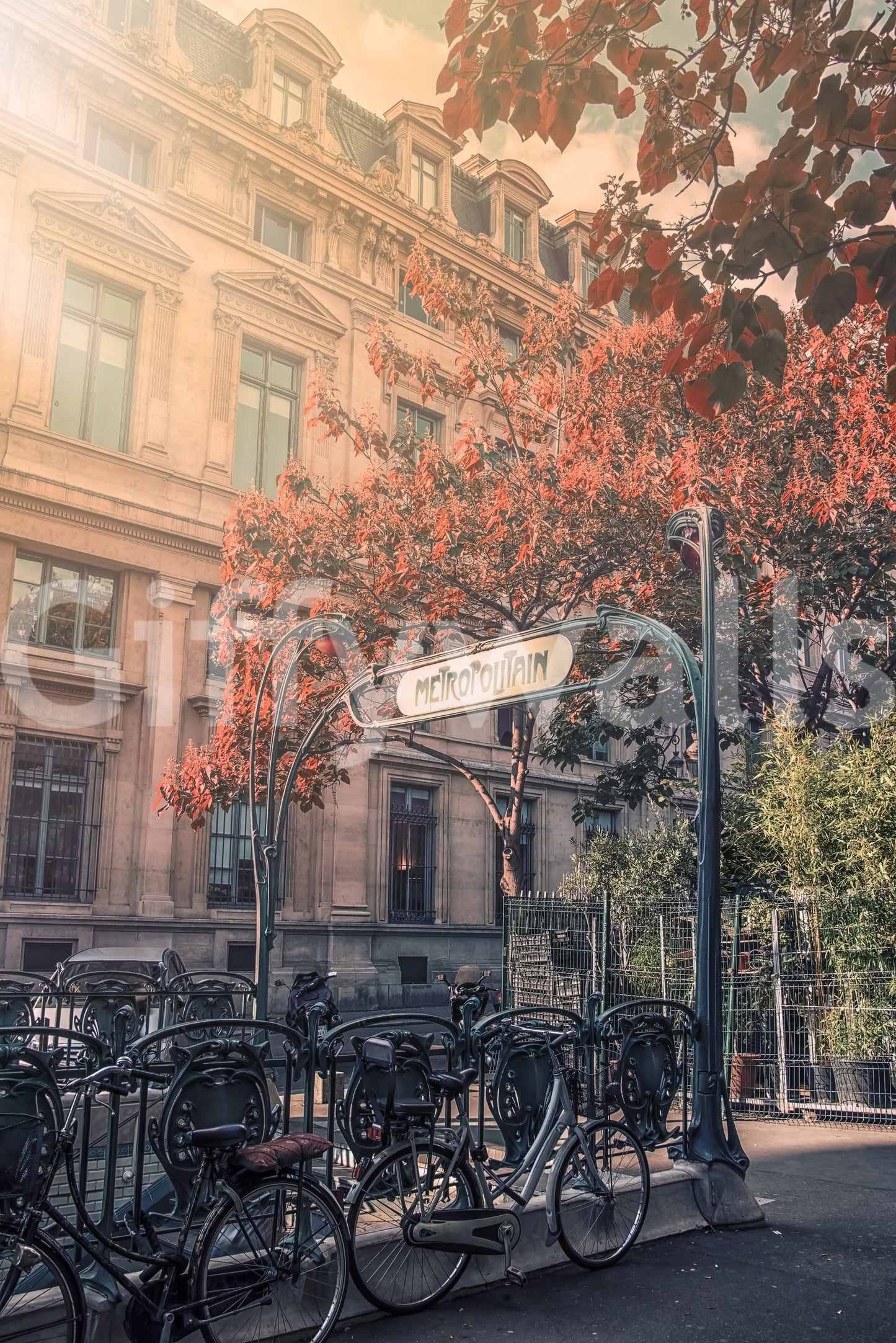 Parisian Metro Charm Wall Mural