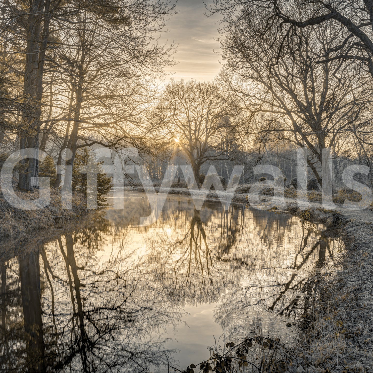 Canal Sunrise Wall Mural