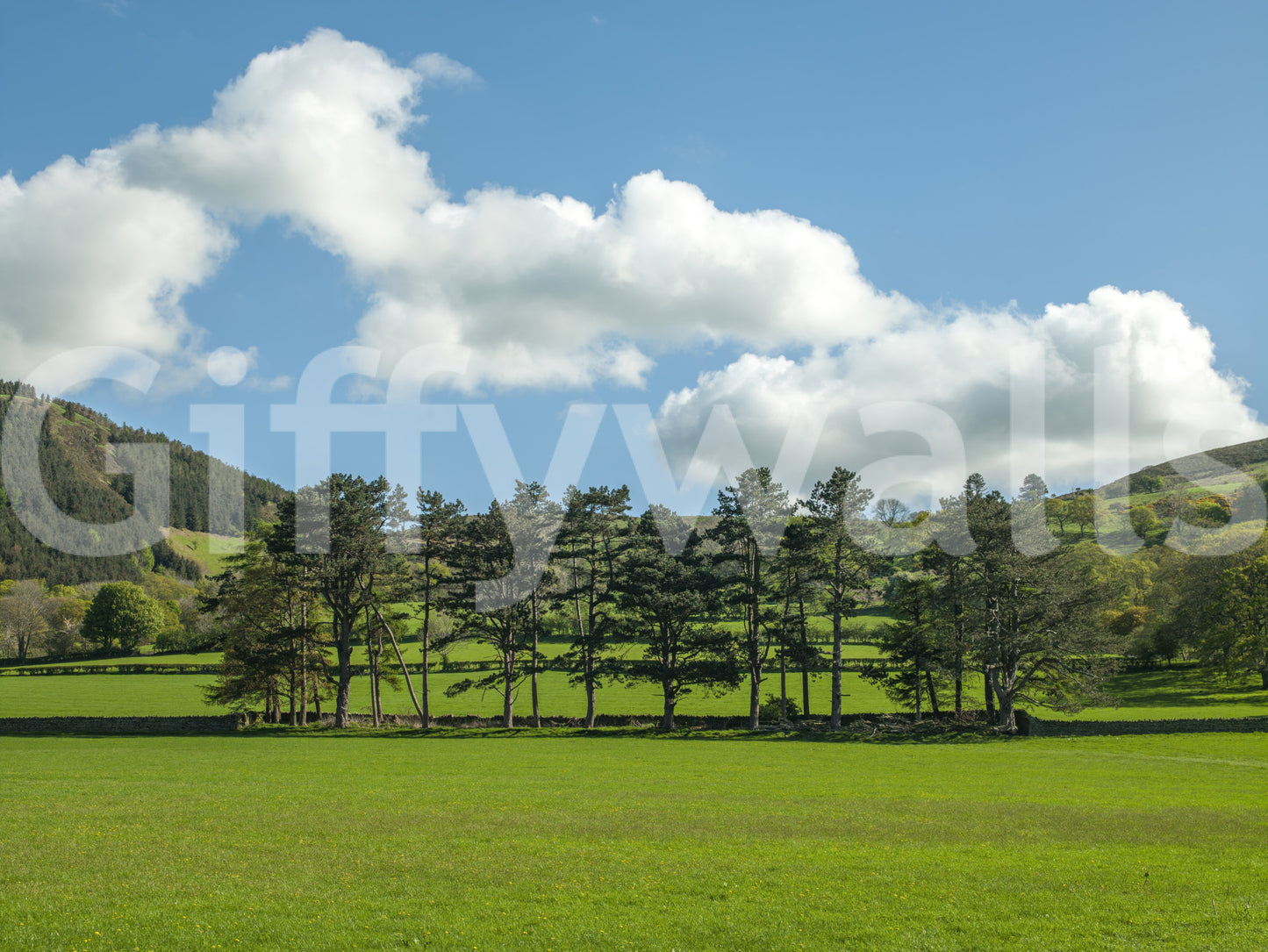 Countryside Meadow Wall Mural