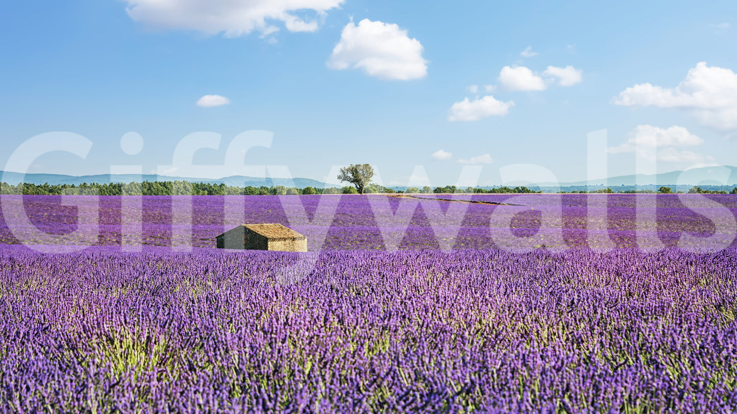 Provence Landscape Wall Mural