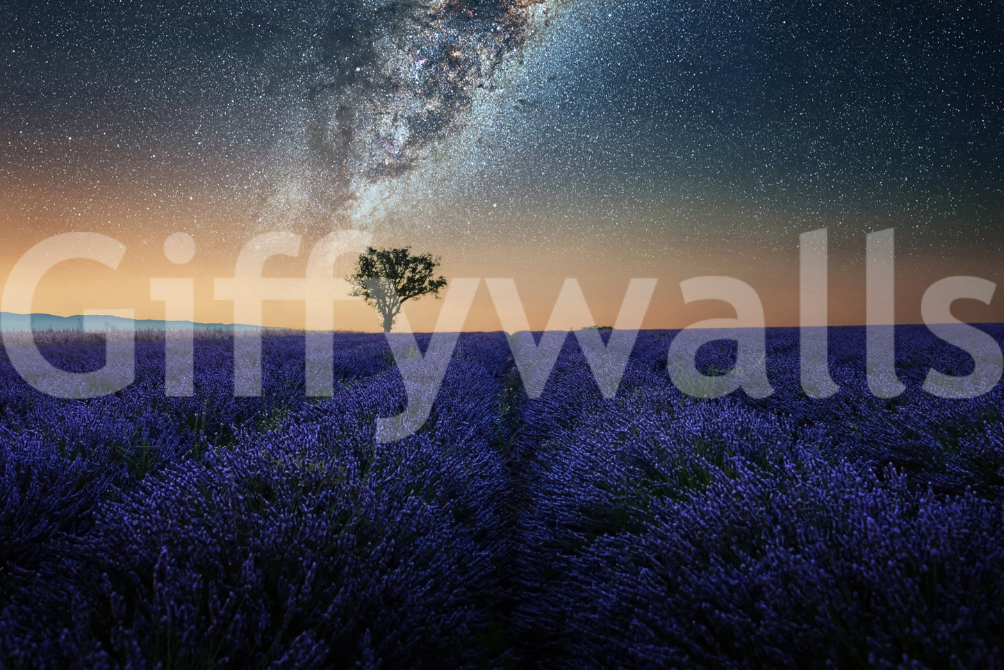 Lavender Night Wall Mural