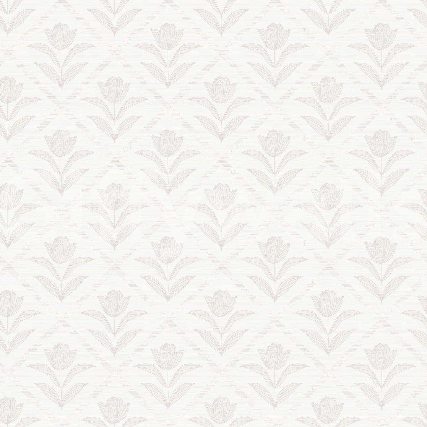 Tulip Cream Wallpaper
