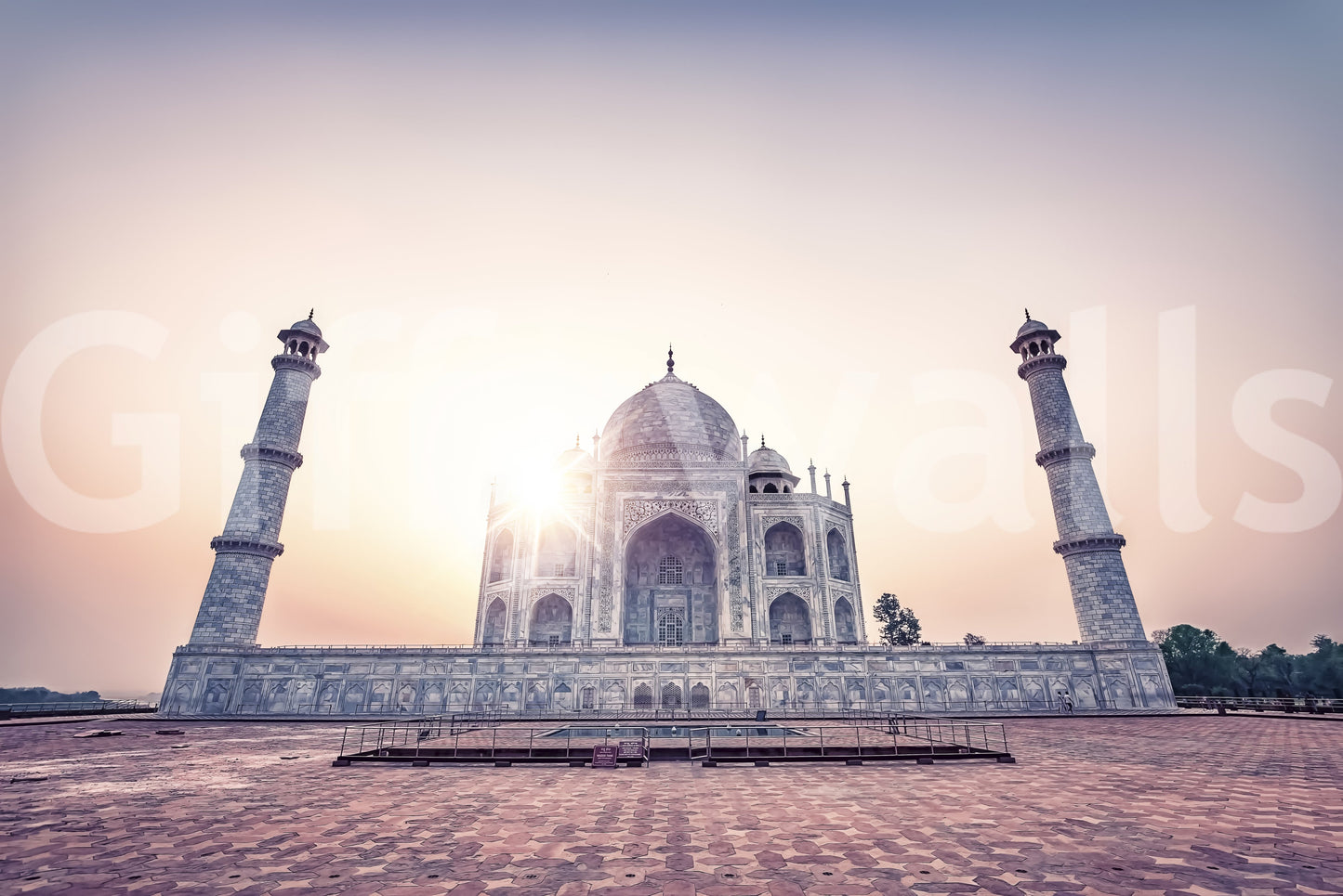 Taj Mahal Majesty Wall Mural