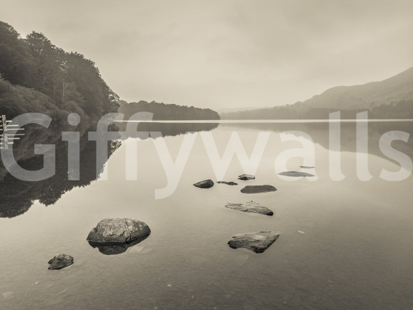 Lake Calmness Wall Mural