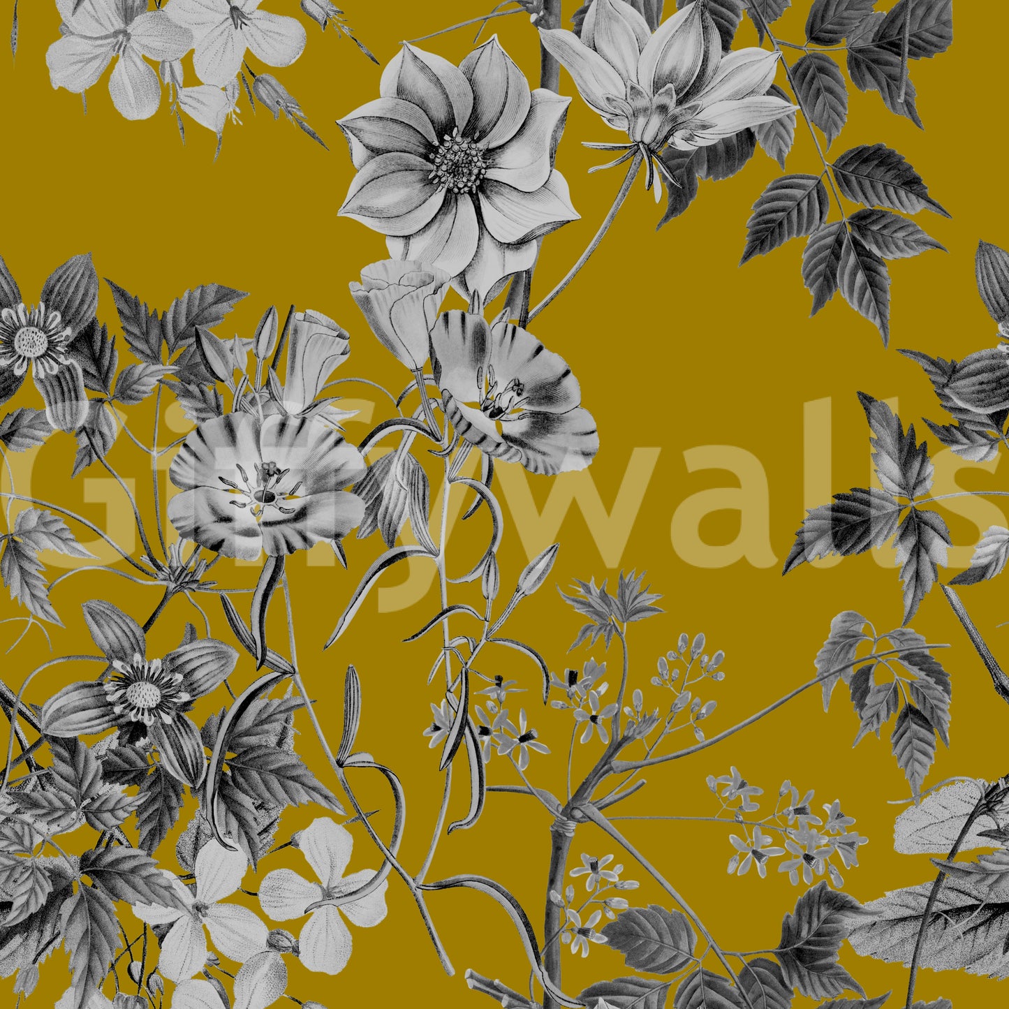 Boceto botánico de Flor de Ocre Wallpaper