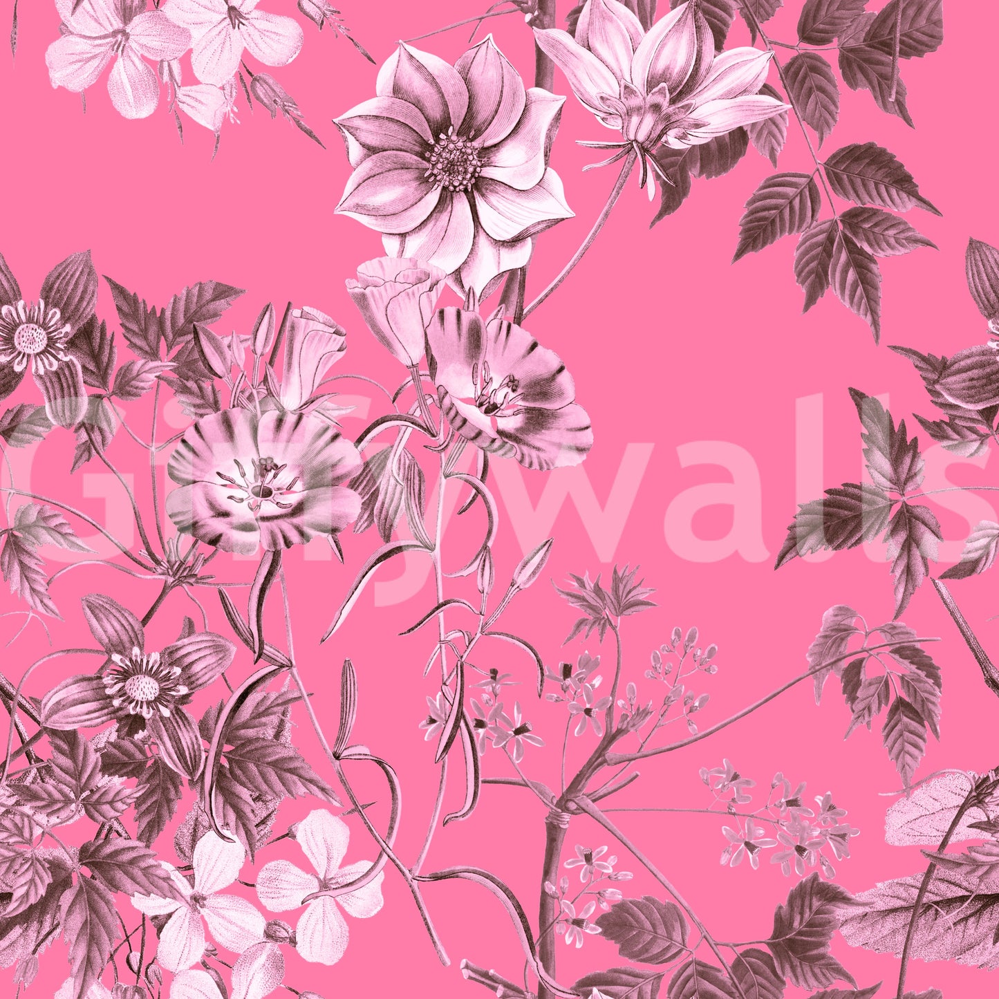 Grabados florales fucsia Wallpaper
