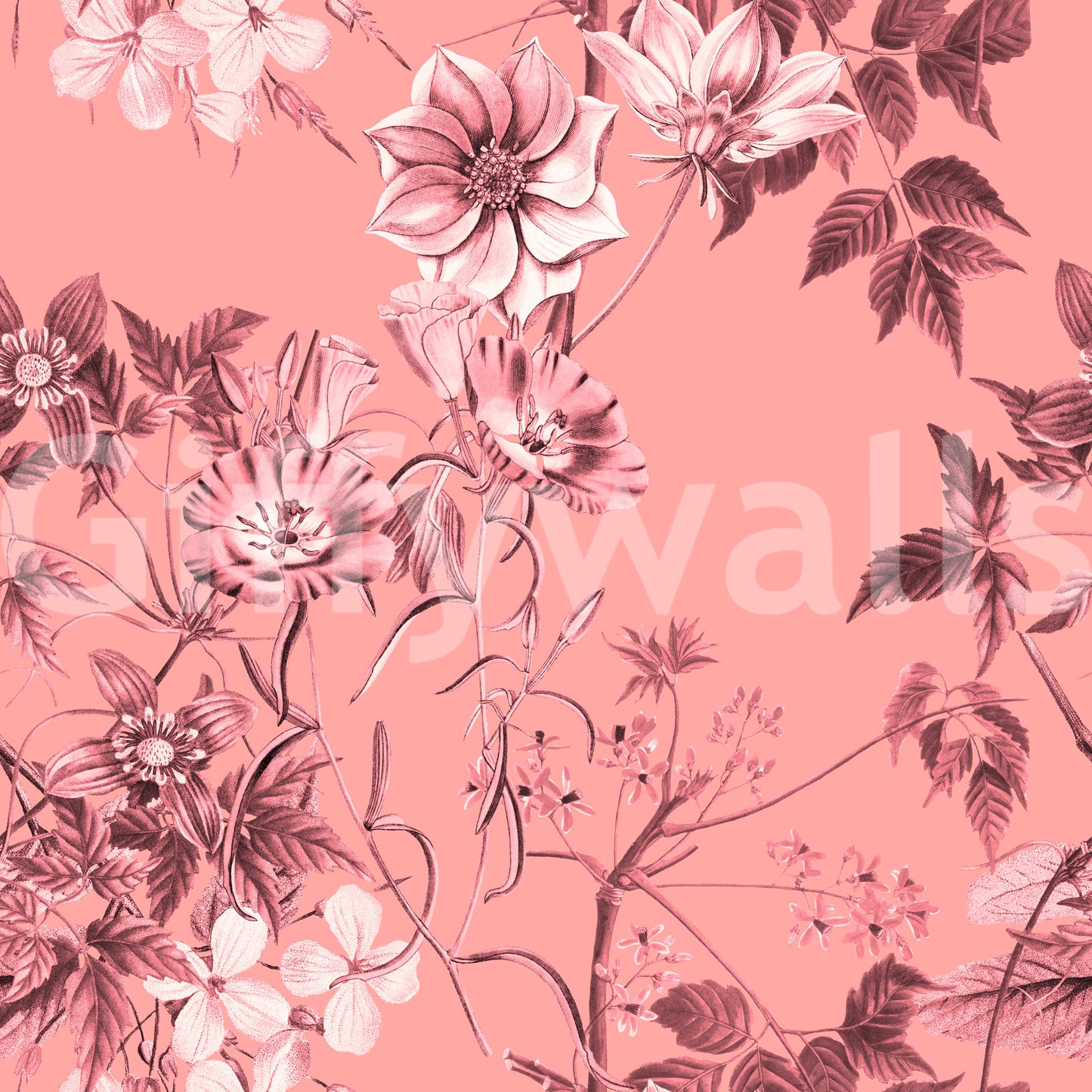 Botanical pink wallpaper featuring Flower Prints with gentle floral lines