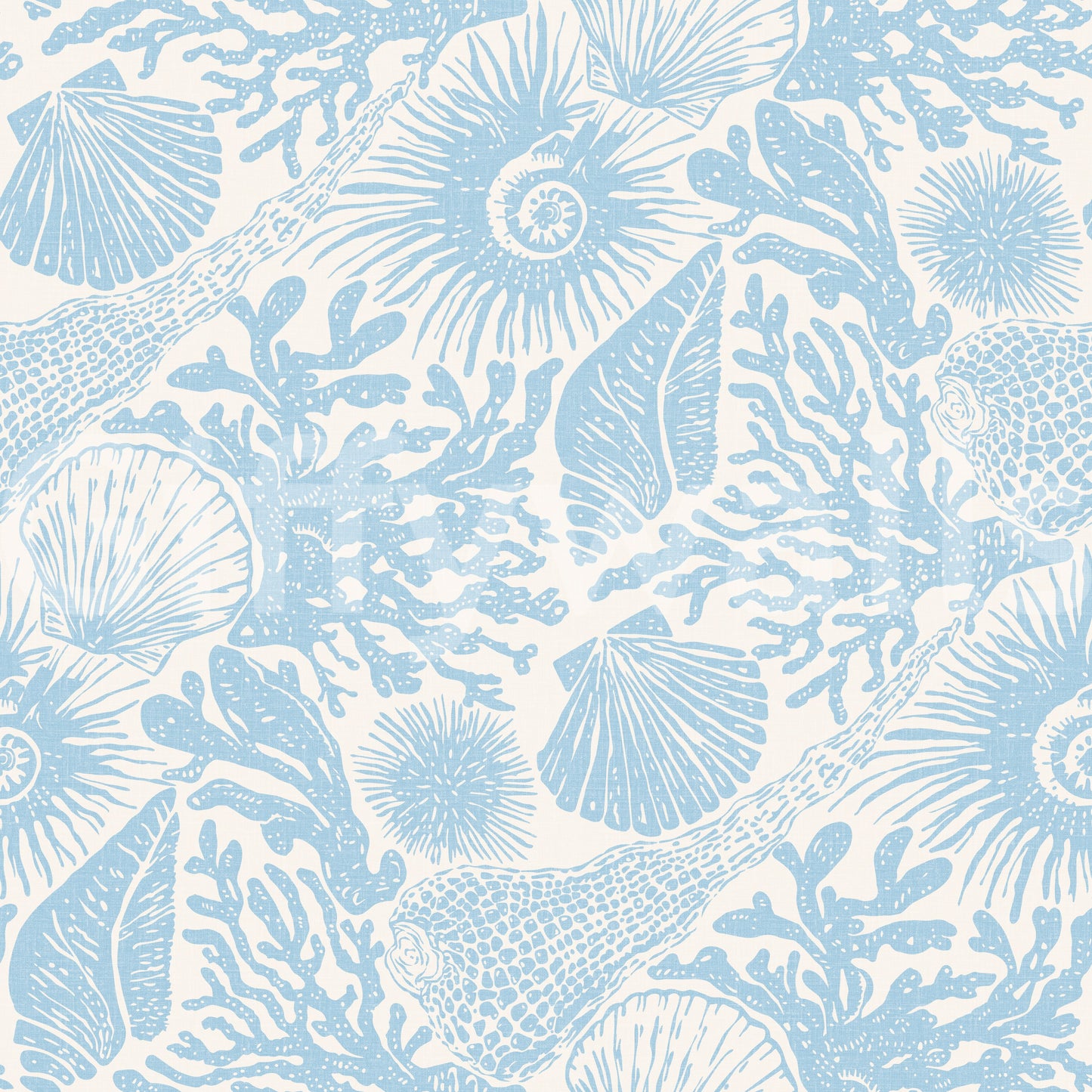 Dense coastal motif repeat across the Seashell Coral soft blue wallpaper