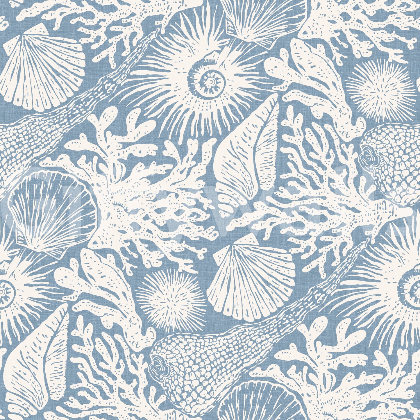 Light azure background of the Boho Seashell Coral Off-White wallpaper surface