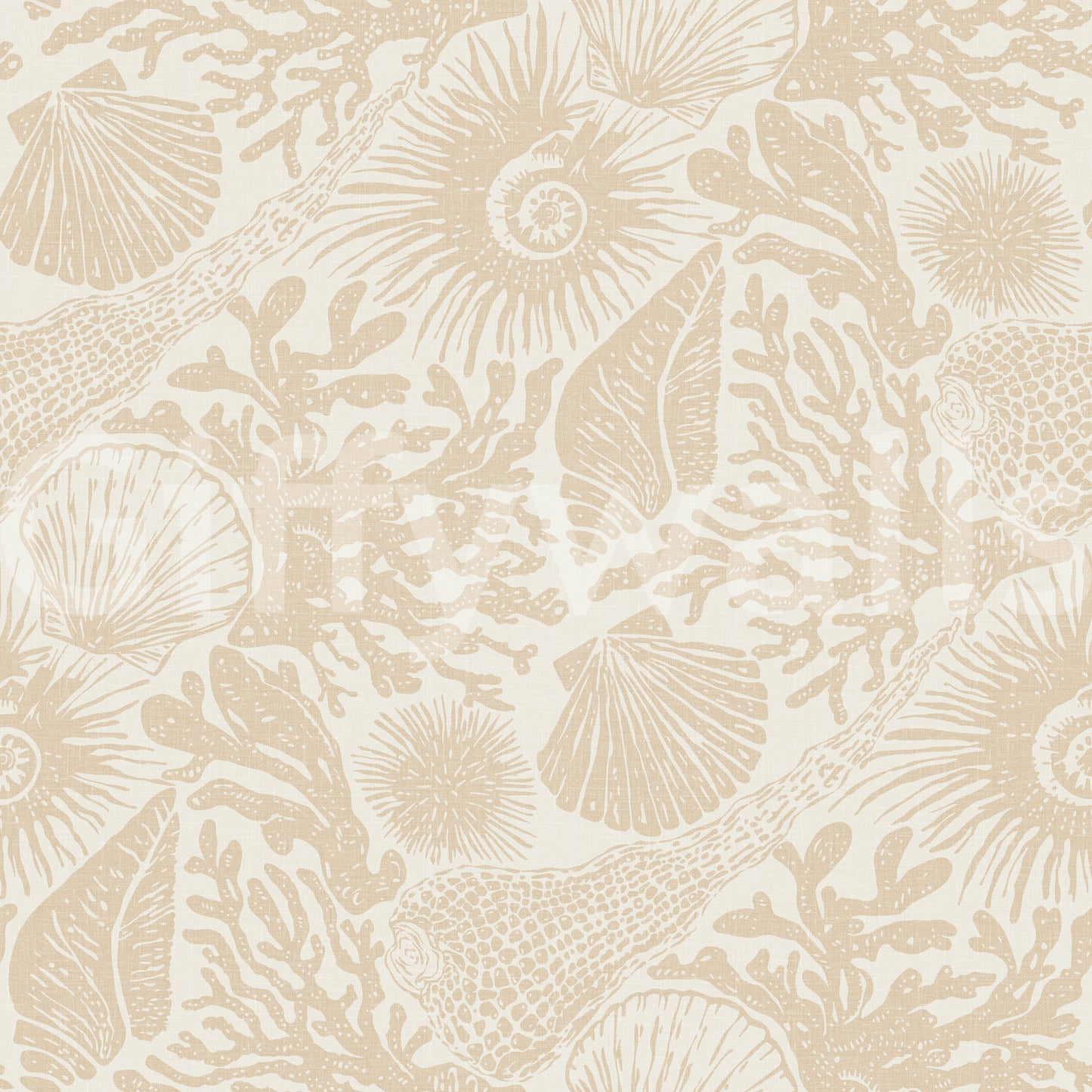 Coral branch and conch motifs in the Seashell Sand wallpaper surface