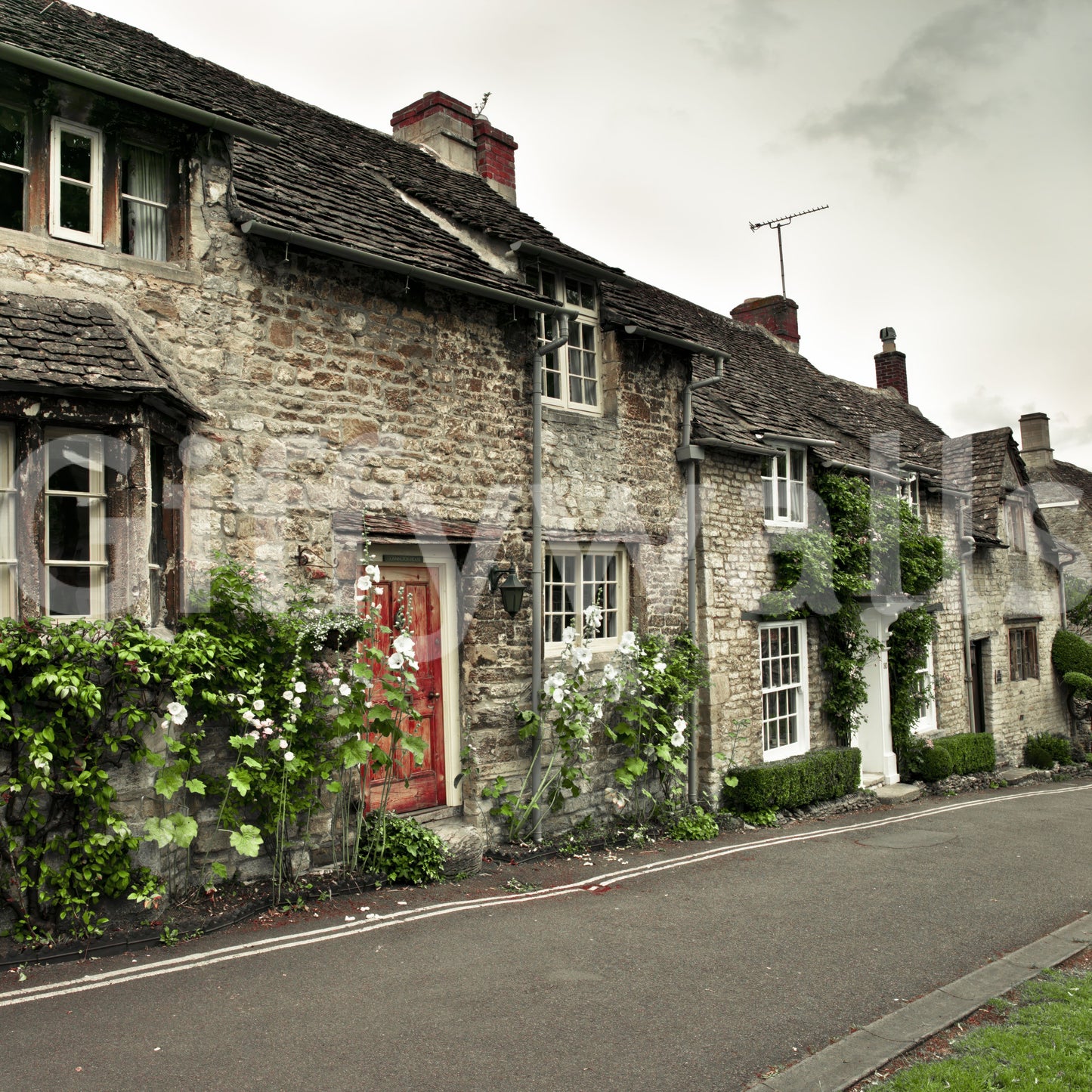 Lush ivy climbs rough exterior masonry the Timeless English Cottages wall mural.