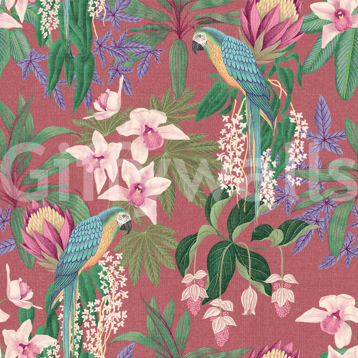 Tropical Macaw & Orchid Bloom wallpaper with colorful parrot garden detail
