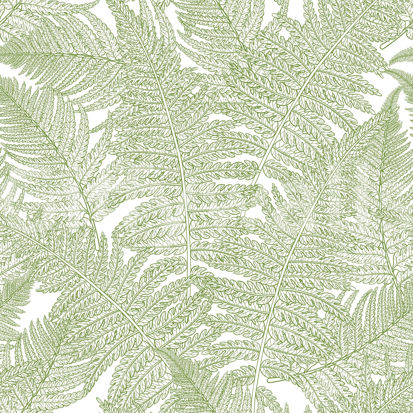Matte surface holds crisp linework on Serene Wallscapes Fern wallpaper without glare