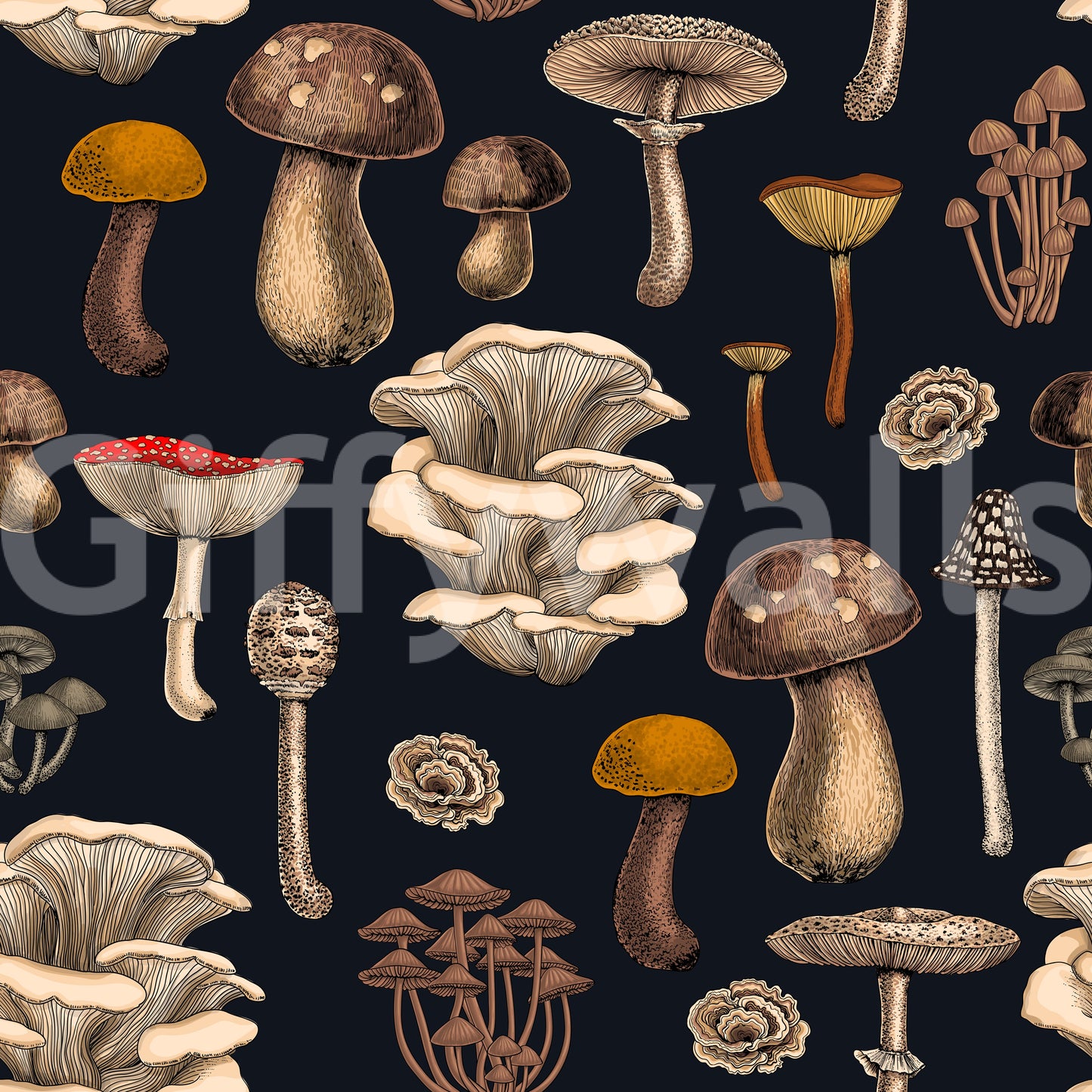 Wild Mushrooms on graphite black Wallpaper