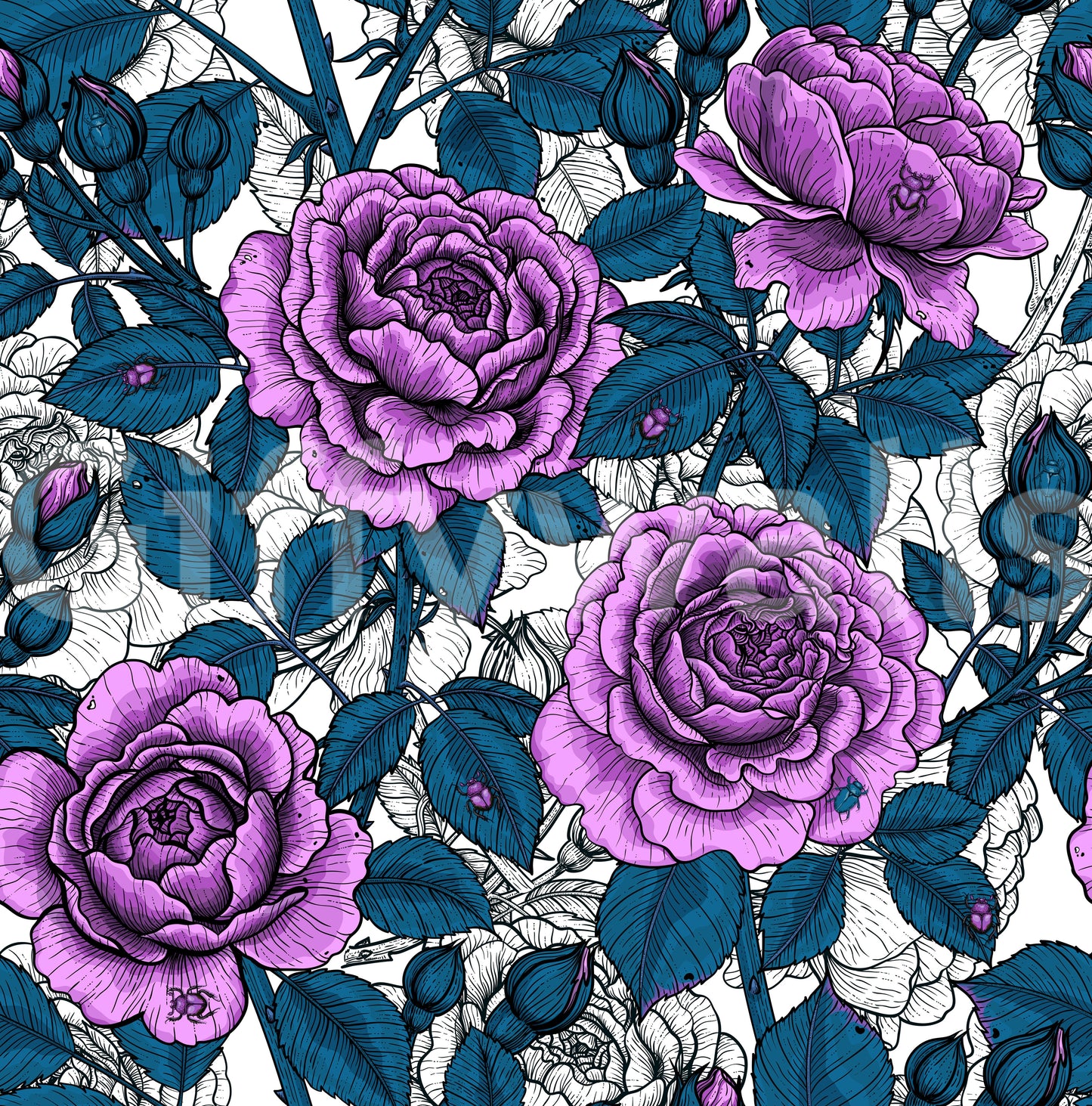 Violet rose garden Wallpaper