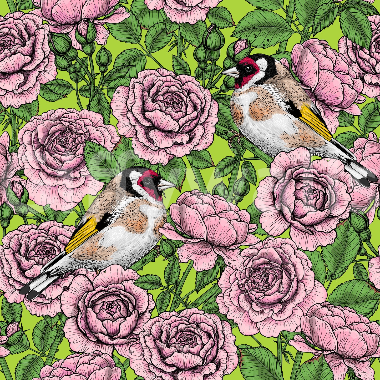 Goldfinch & Rose Garden Delight Wallpaper
