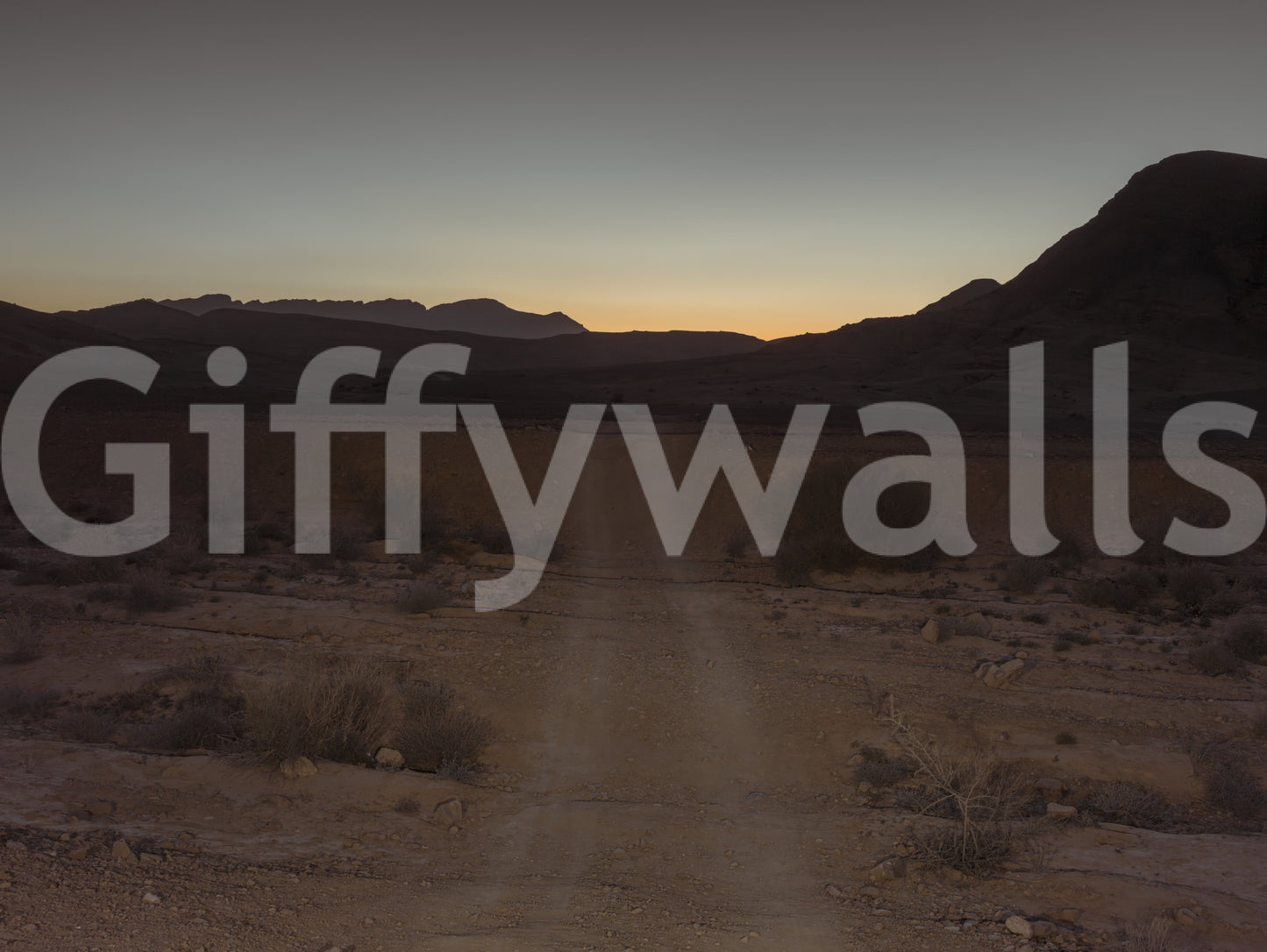 Desert Dawn Path Wall Mural