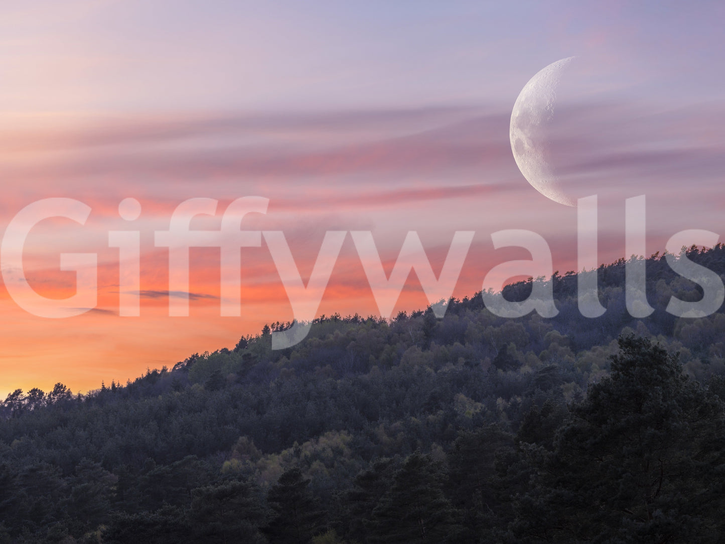 Twilight forest wall mural with silver moonlight details