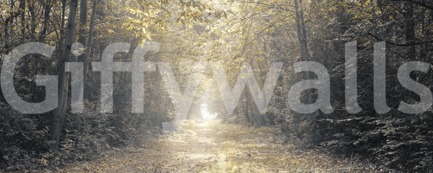 Scenic pathway wall mural with glowing forest surroundings