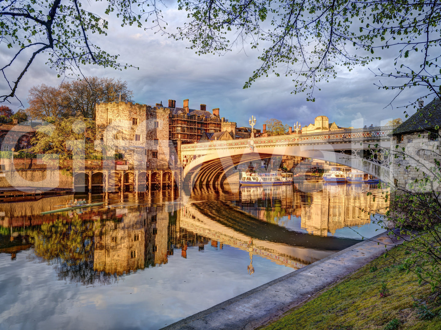 York's Golden River Reflection Wall Mural