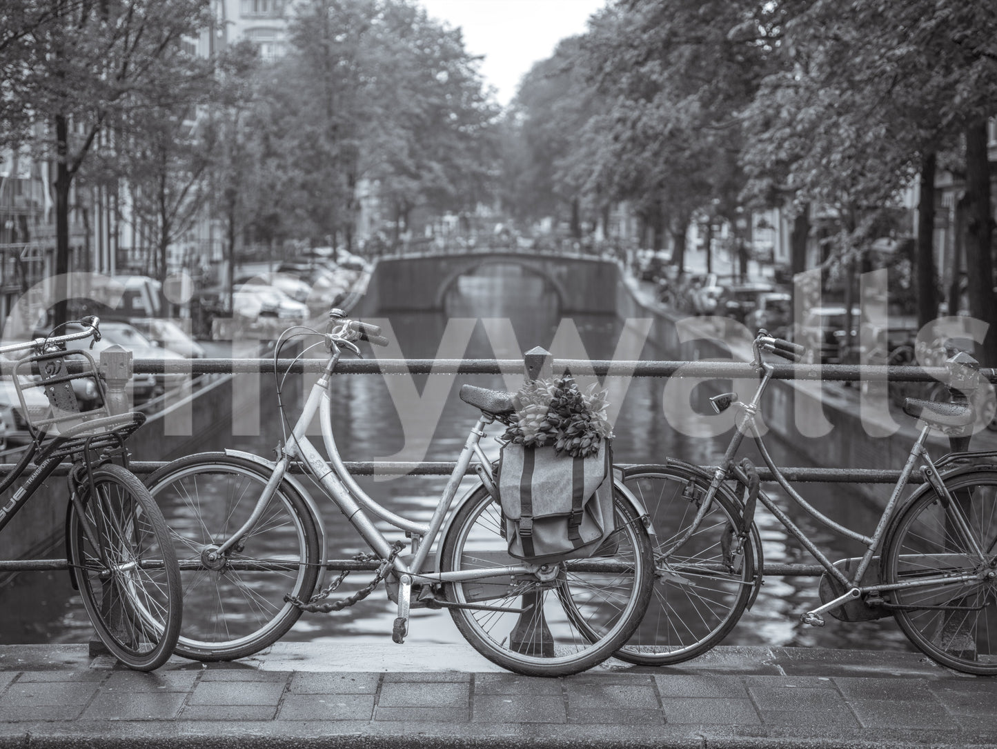 Amsterdam Canal Bicycle Scene Wall Mural