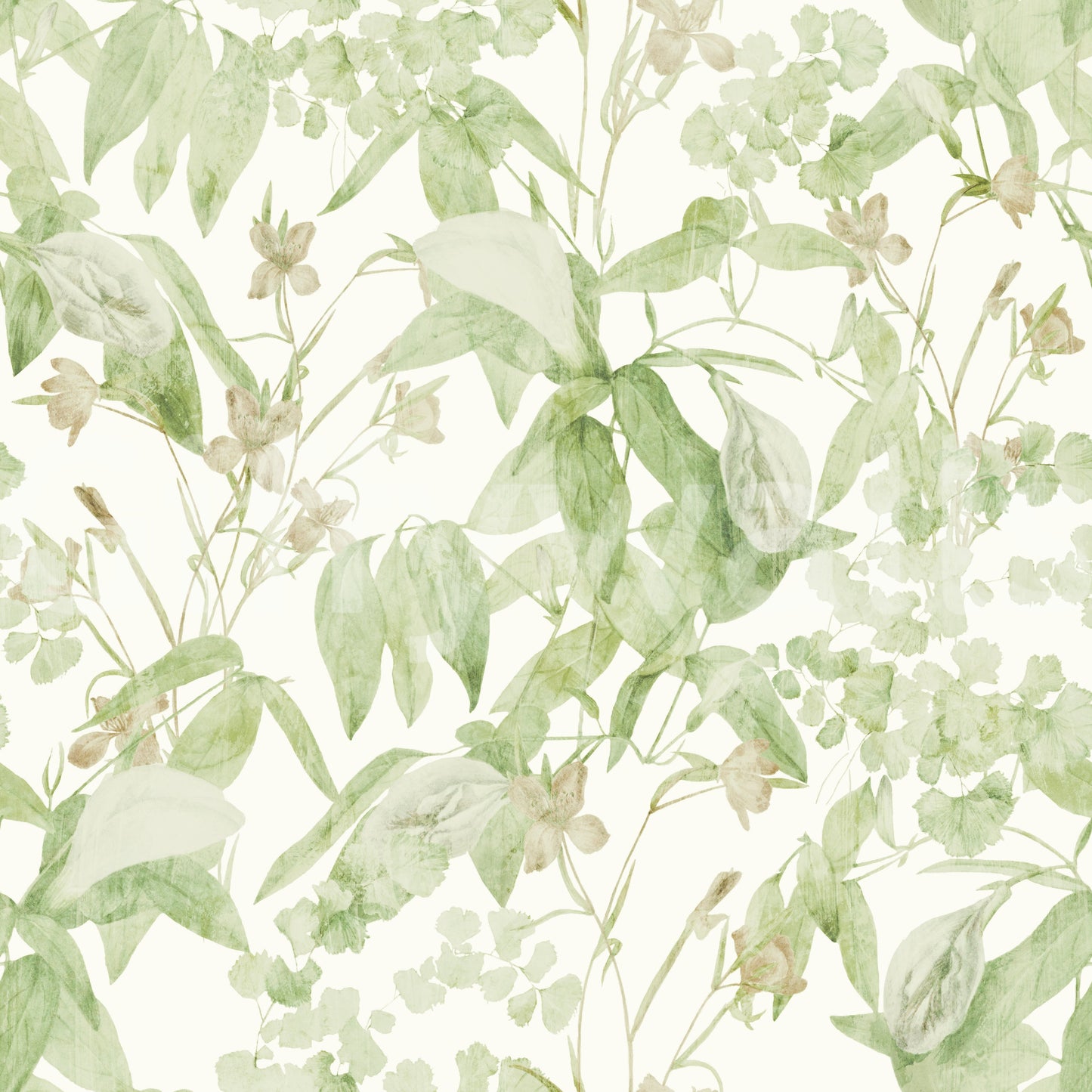 Verdant Meadow Botanical Illustration Wallpaper