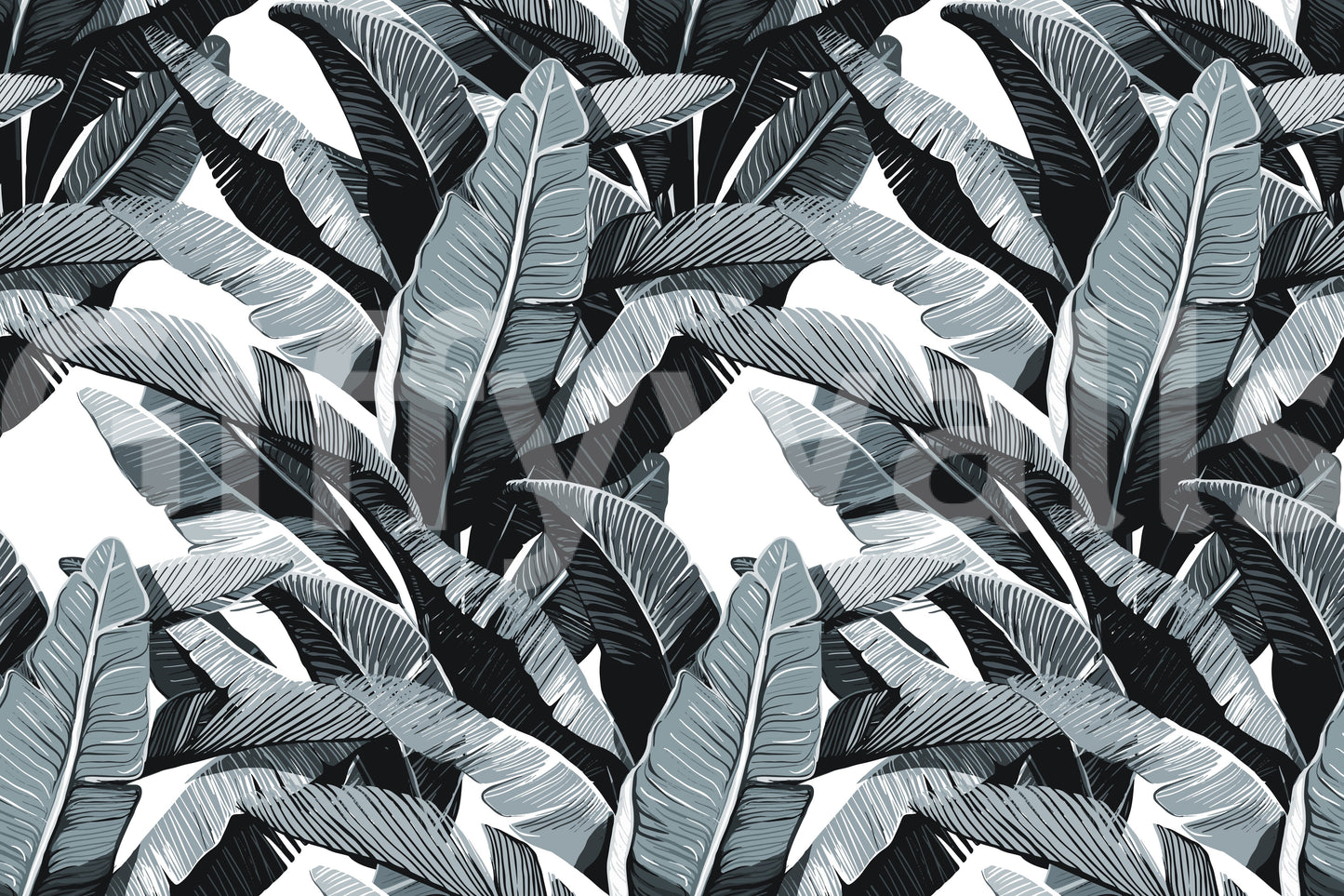 Monochrome Tropical Palm Fronds Wallpaper