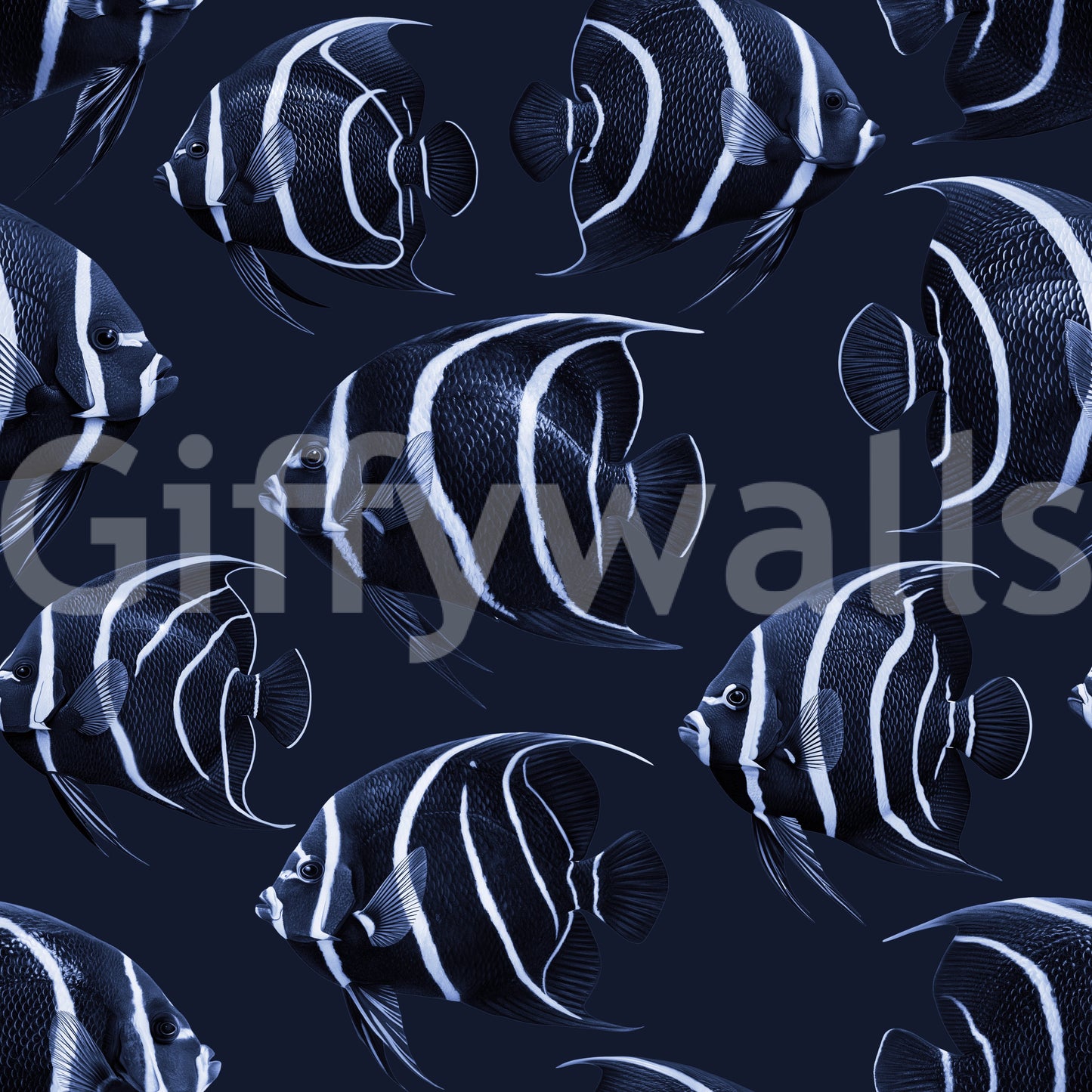 Angel The Fish Wallpaper