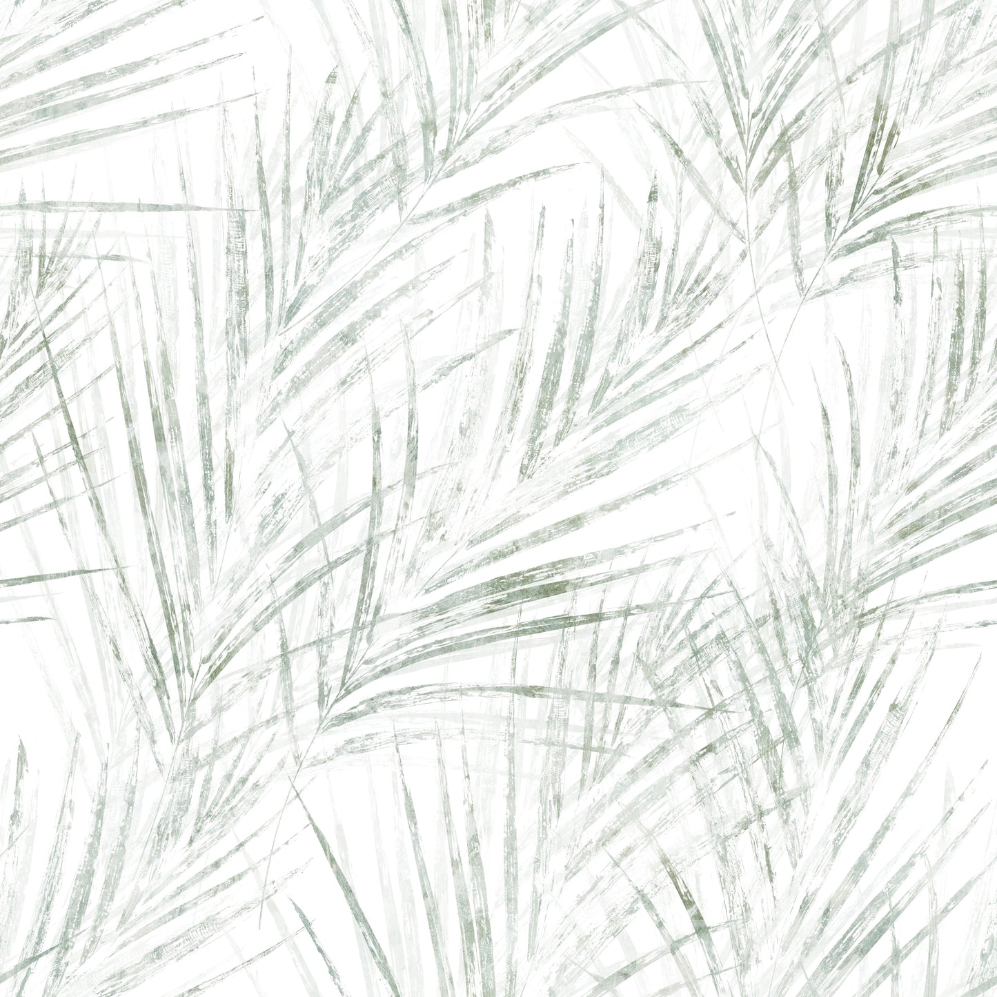 Sage Palm Botanical Sketch Wallpaper