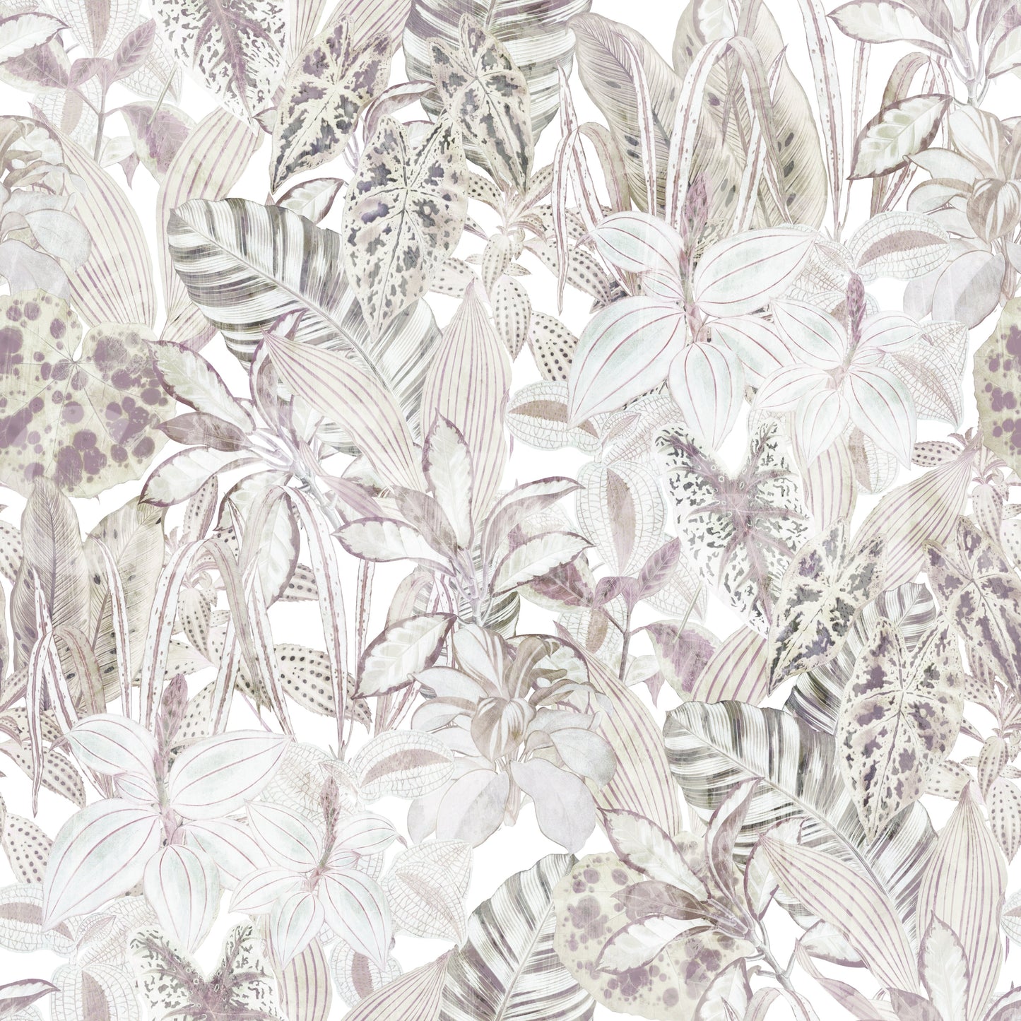 Ethereal Botanical Foliage Wallpaper
