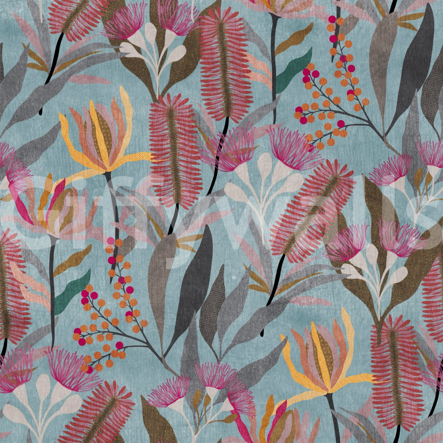 Australian Wildflower Meadow Blue Wallpaper